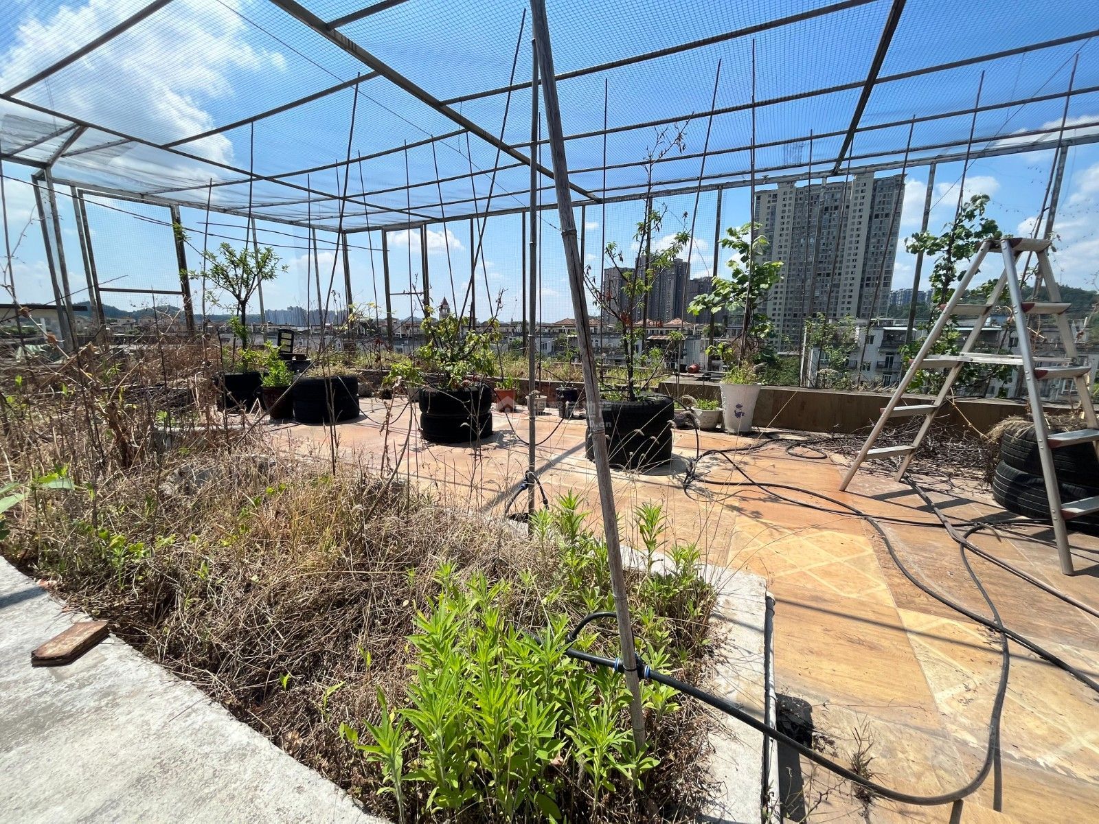 M-11410二手房图片