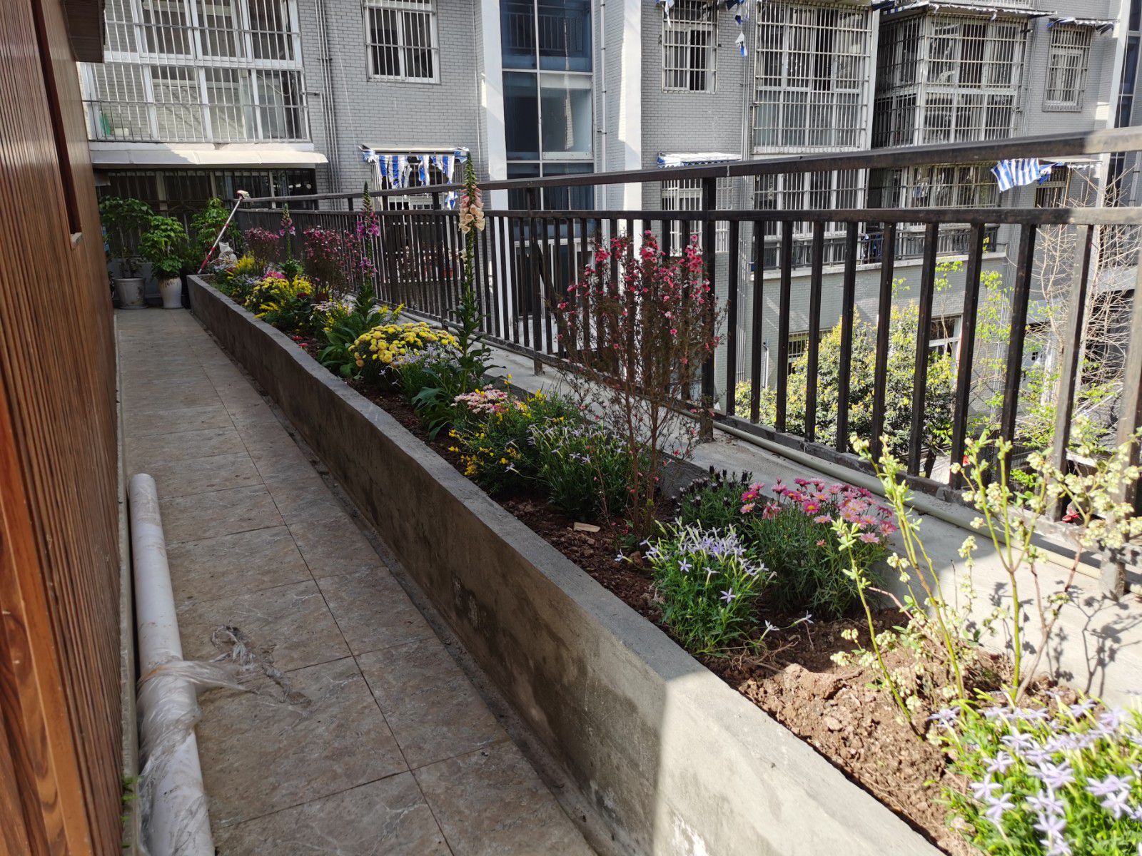 M-17058二手房图片