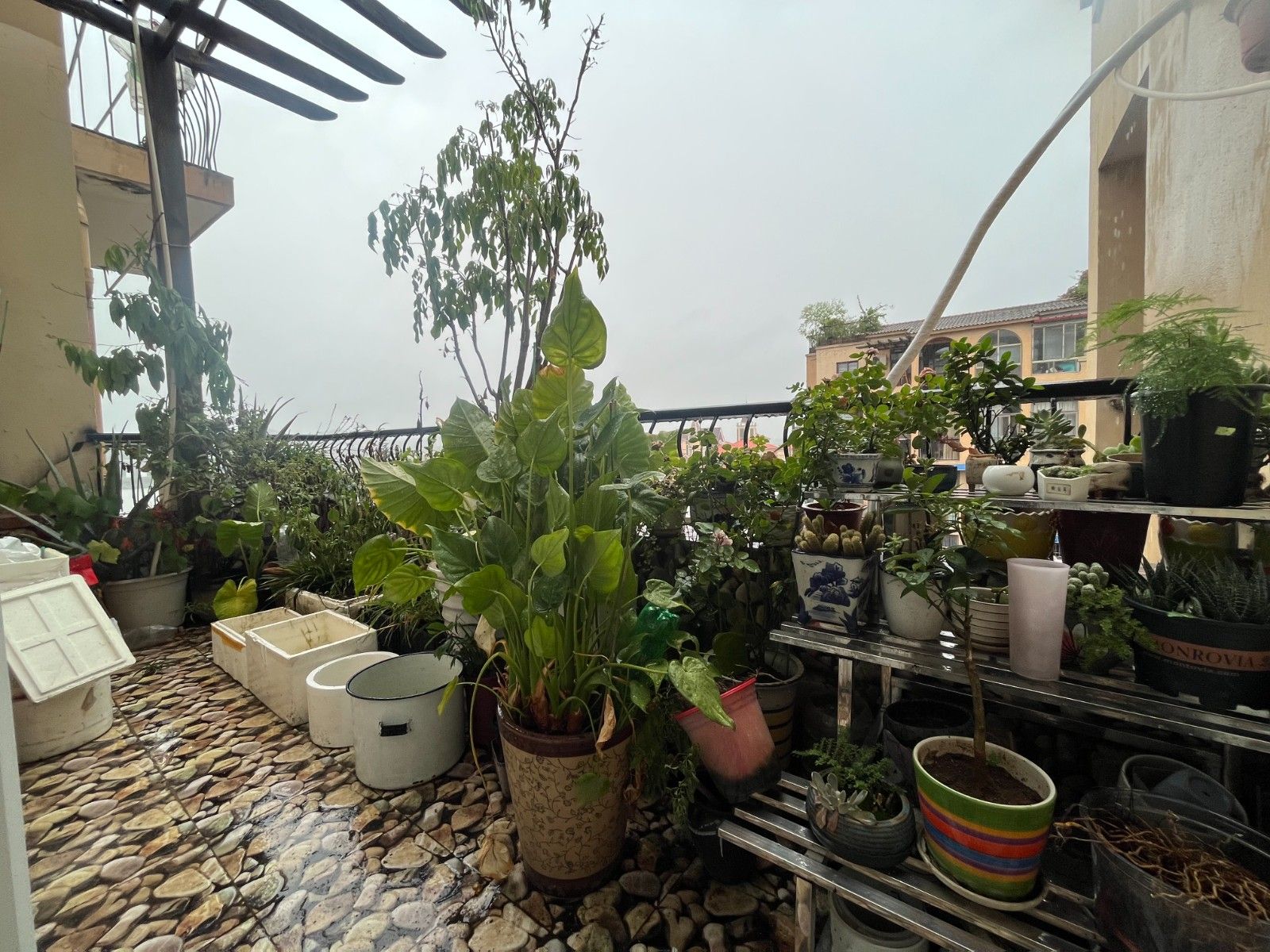 M-22611二手房图片