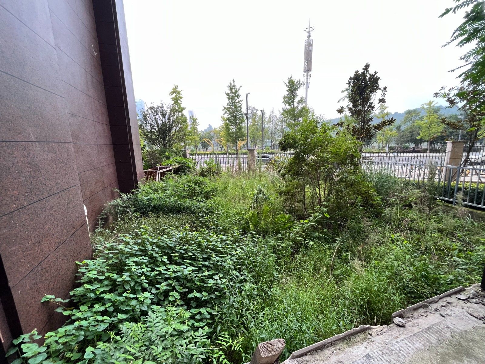 M-26500二手房图片