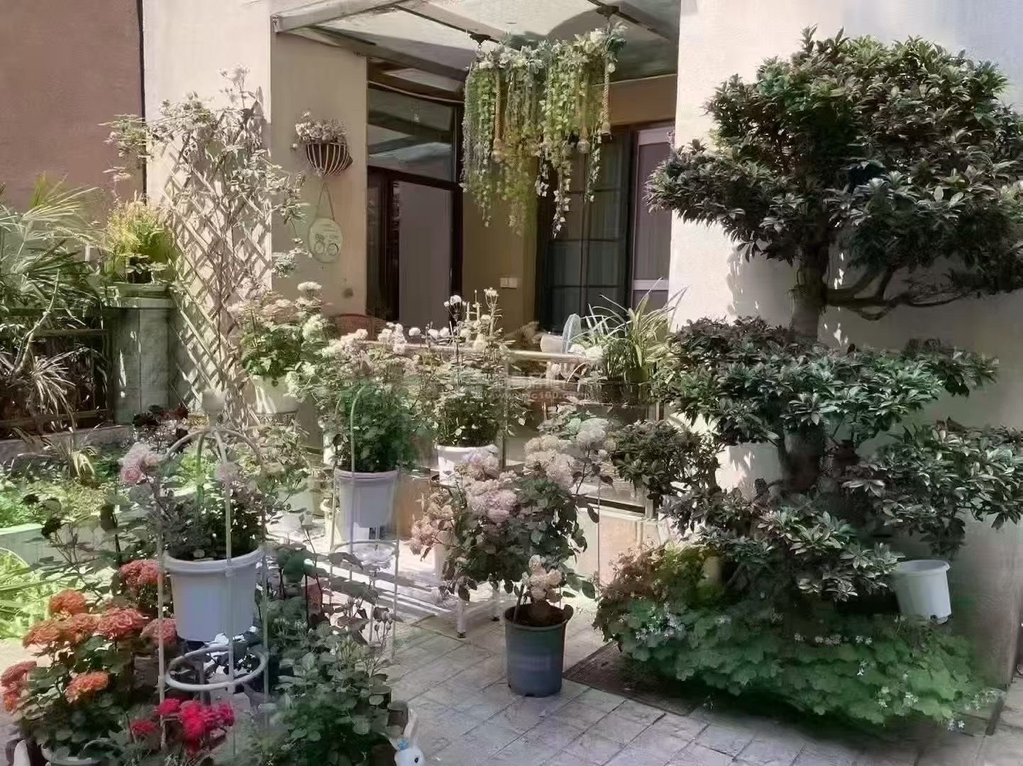 M-37884二手房图片