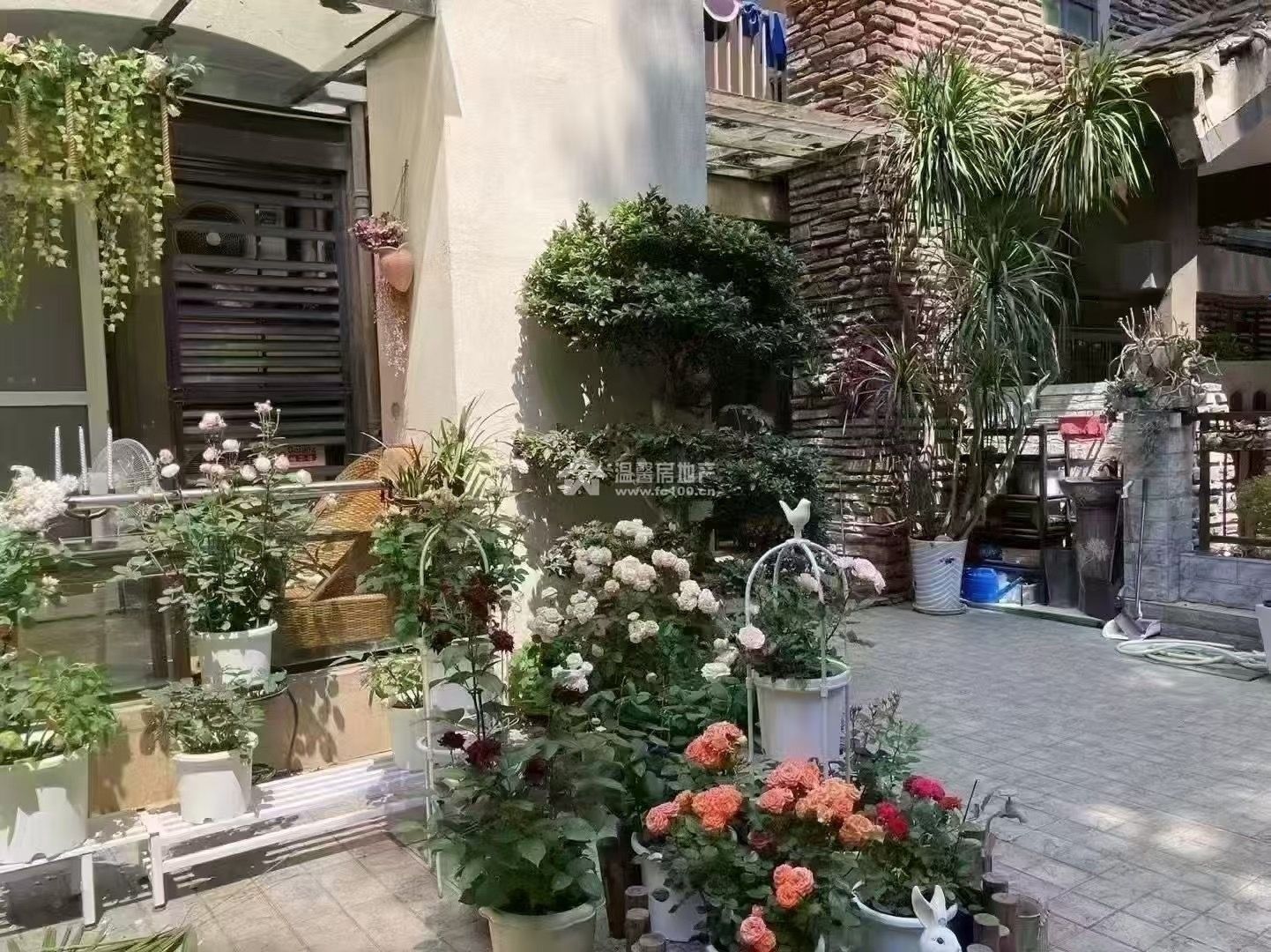 M-37884二手房图片