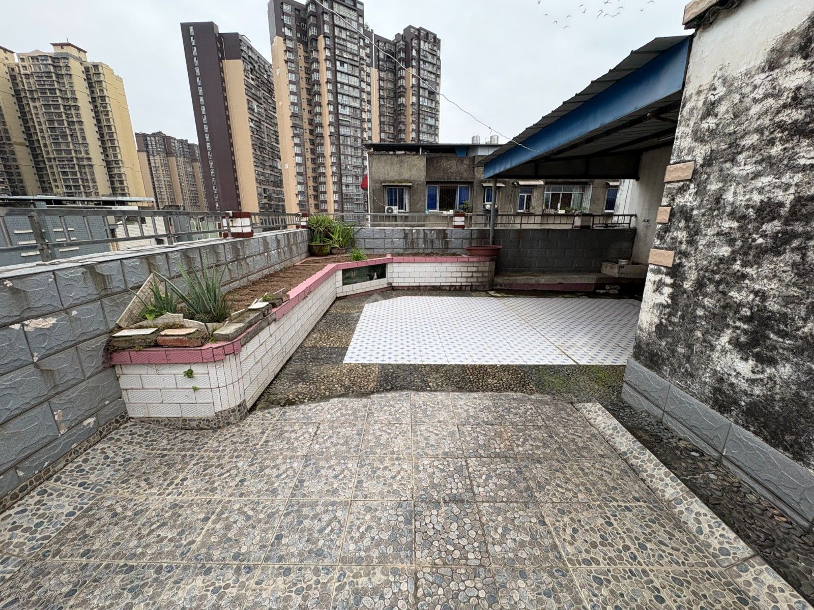 M-39511二手房图片