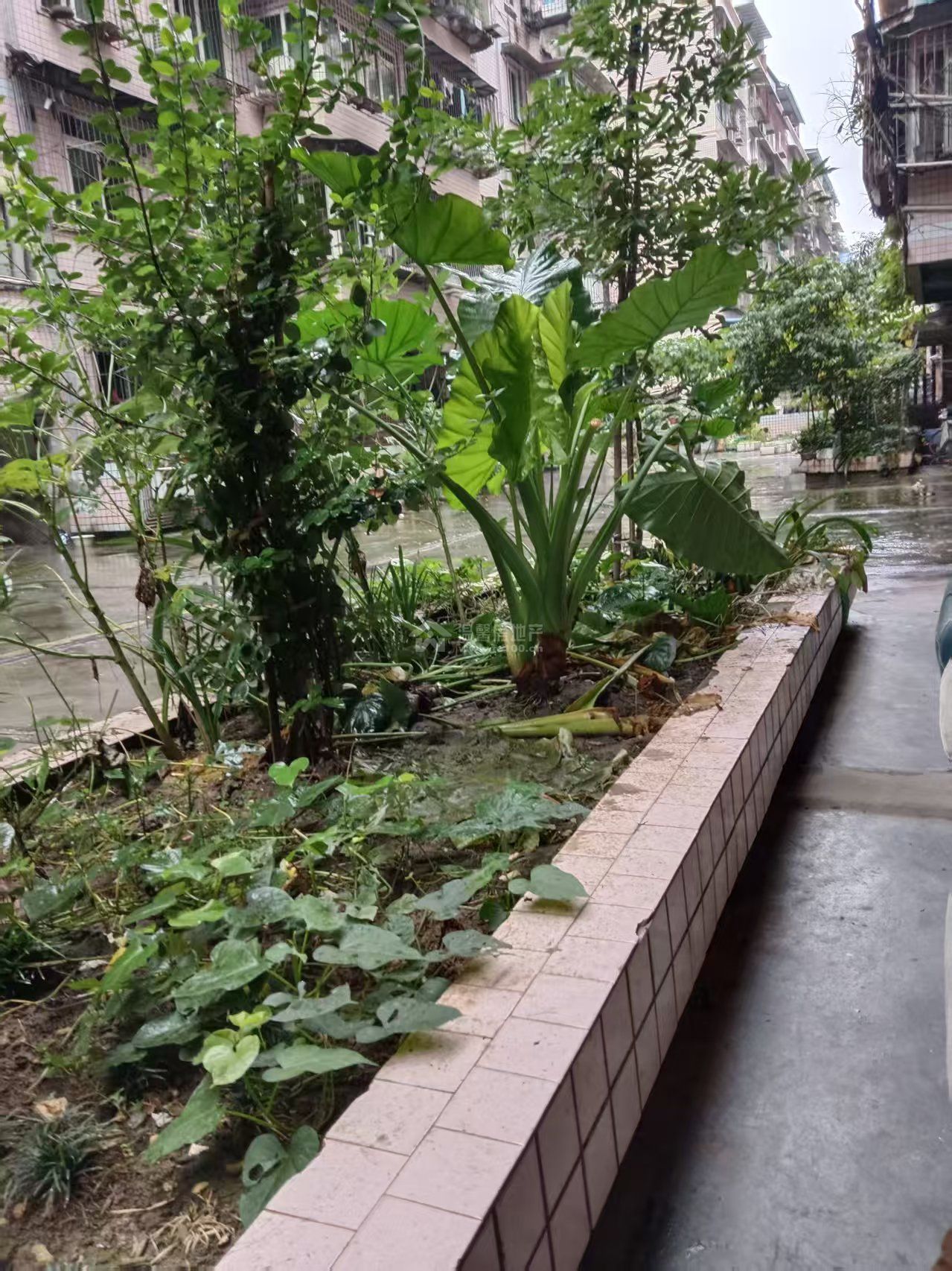 M-39546二手房图片