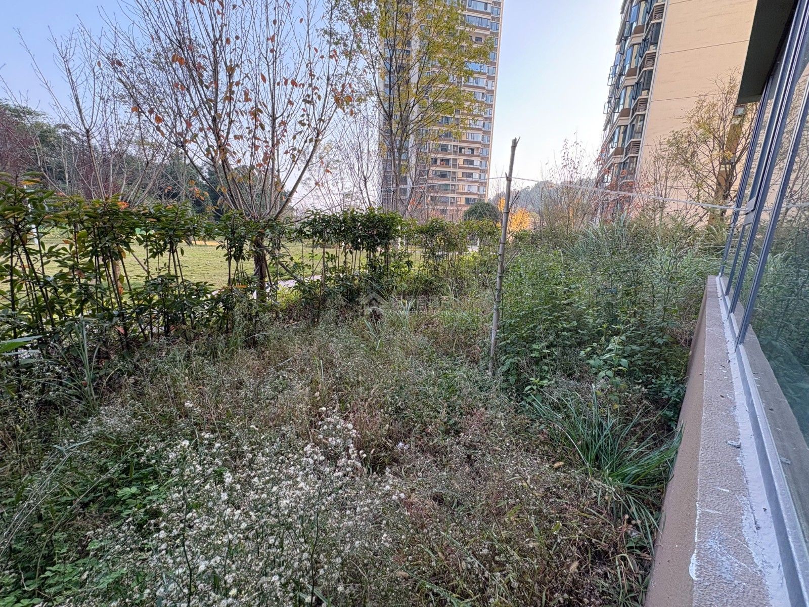 M-41252二手房图片