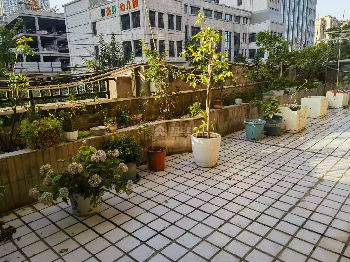 Z-16432二手房图片