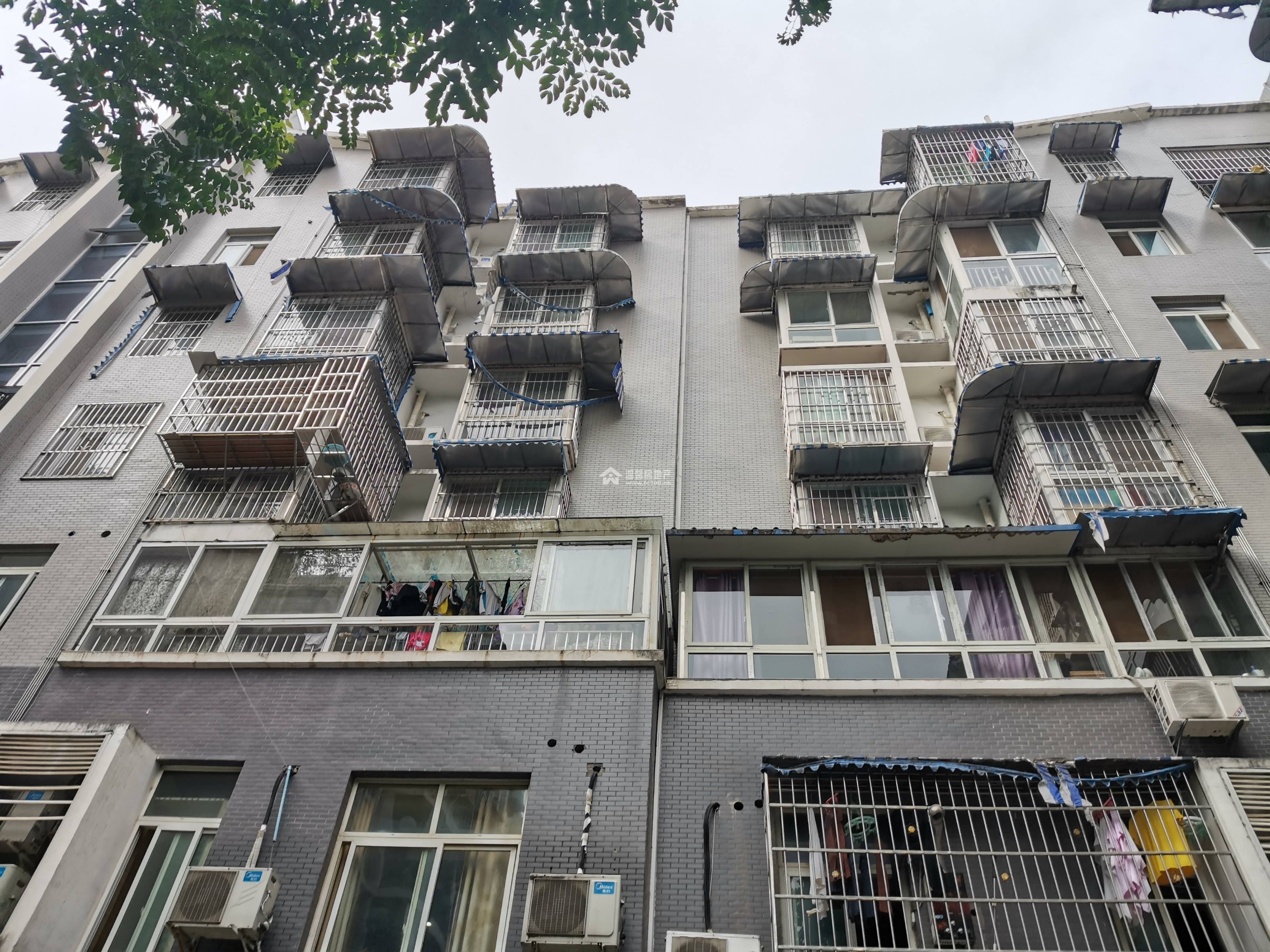 一号花园图片