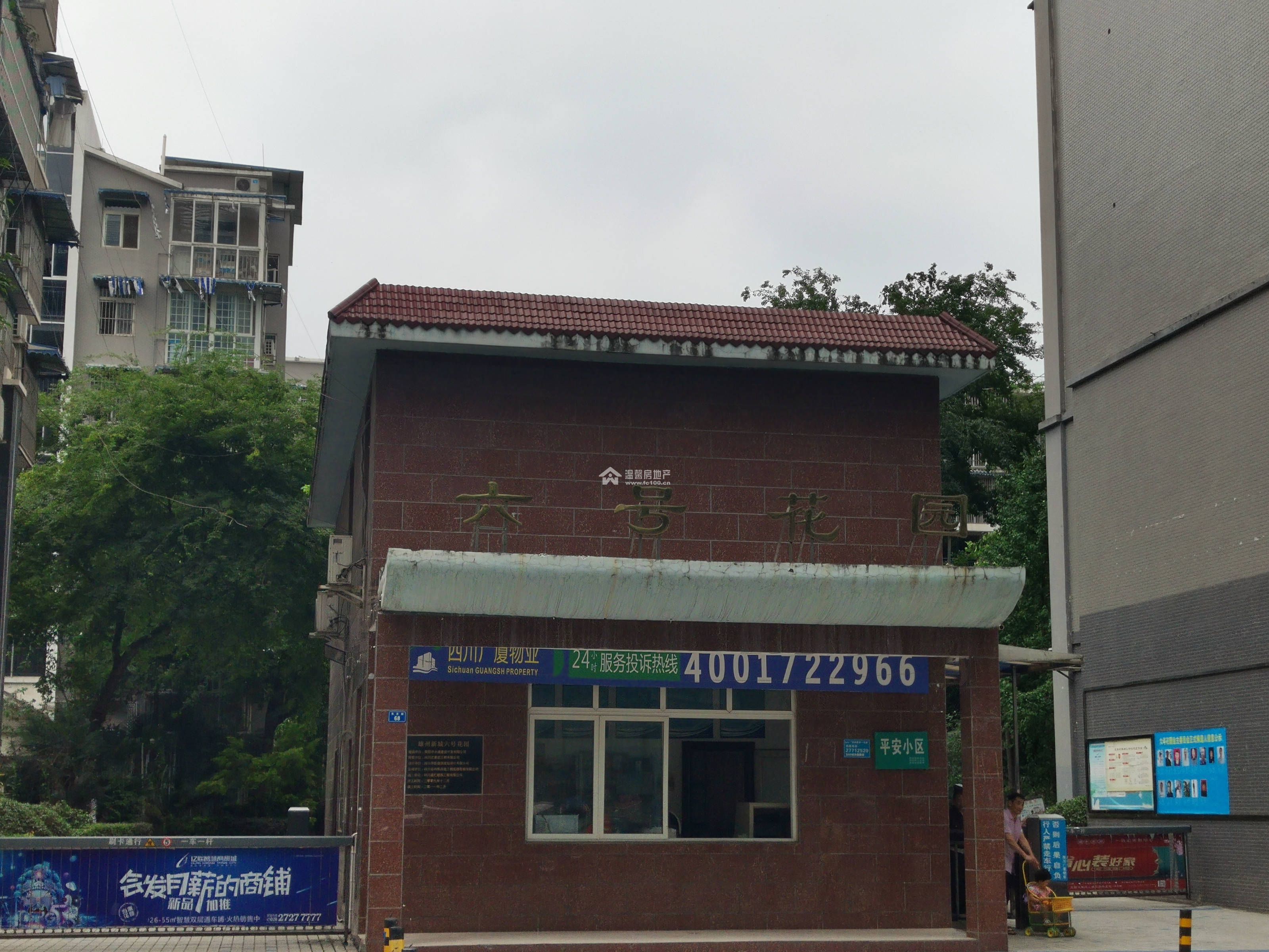 六号花园图片