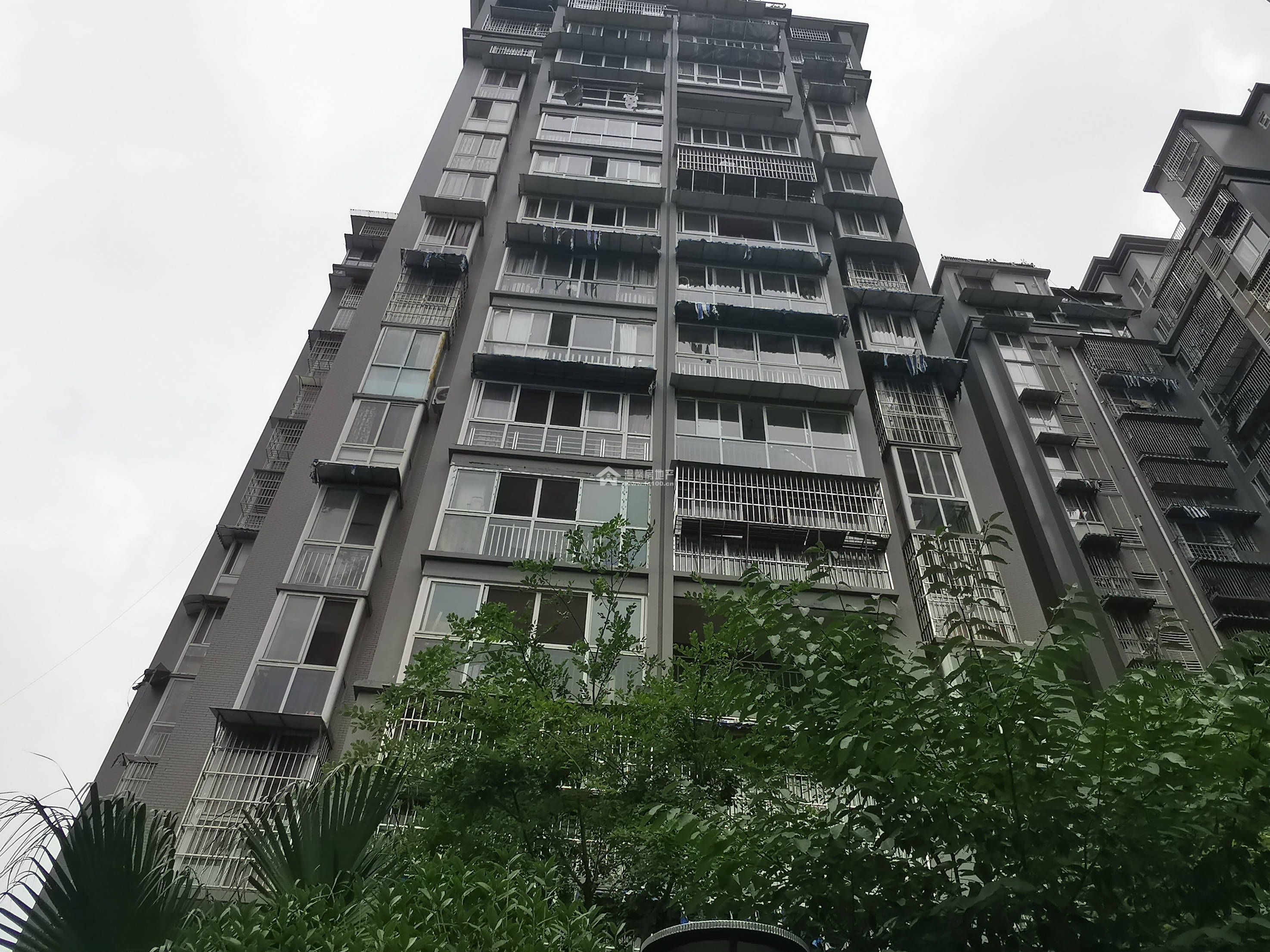 六号花园图片
