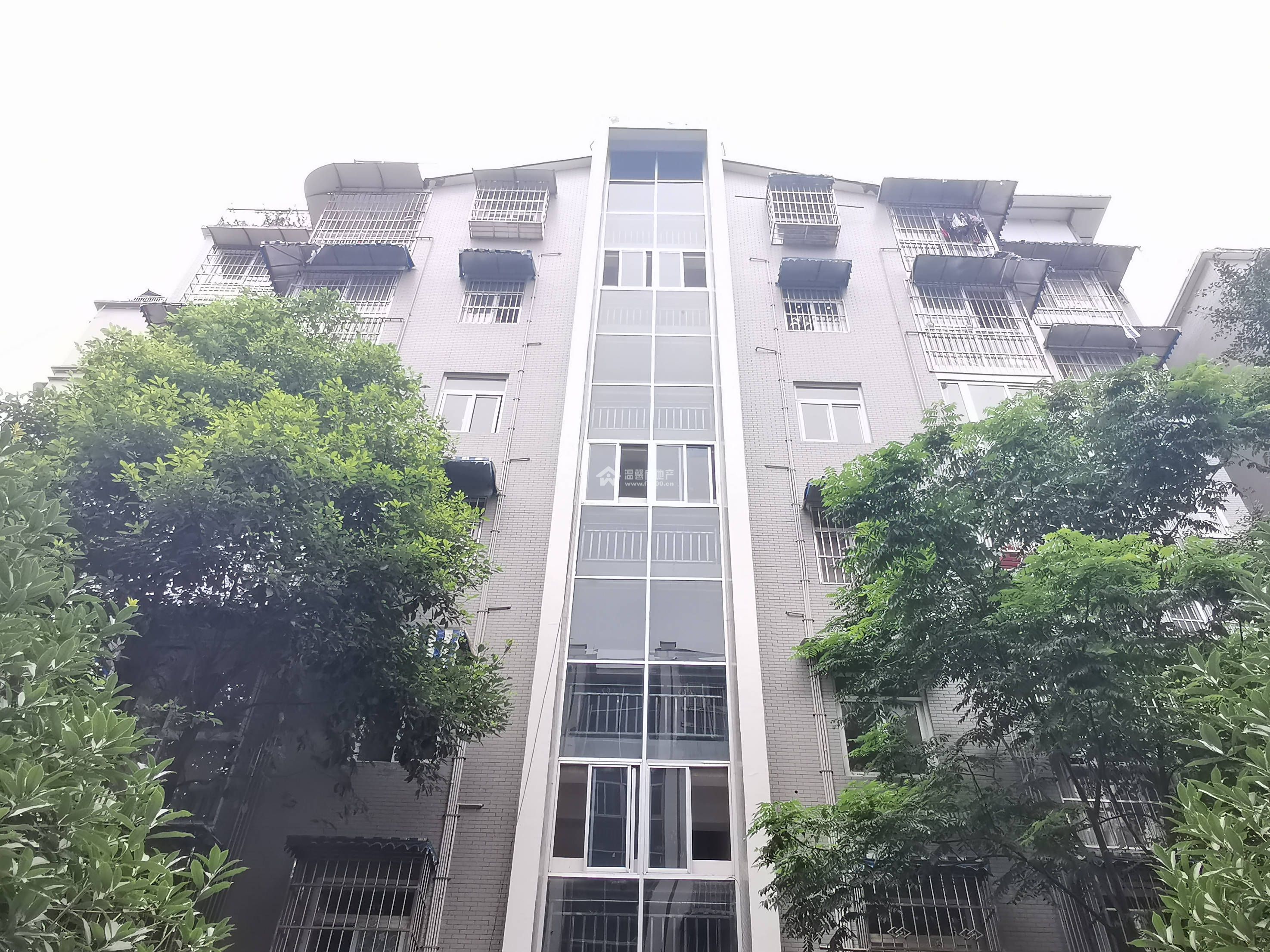 六号花园图片