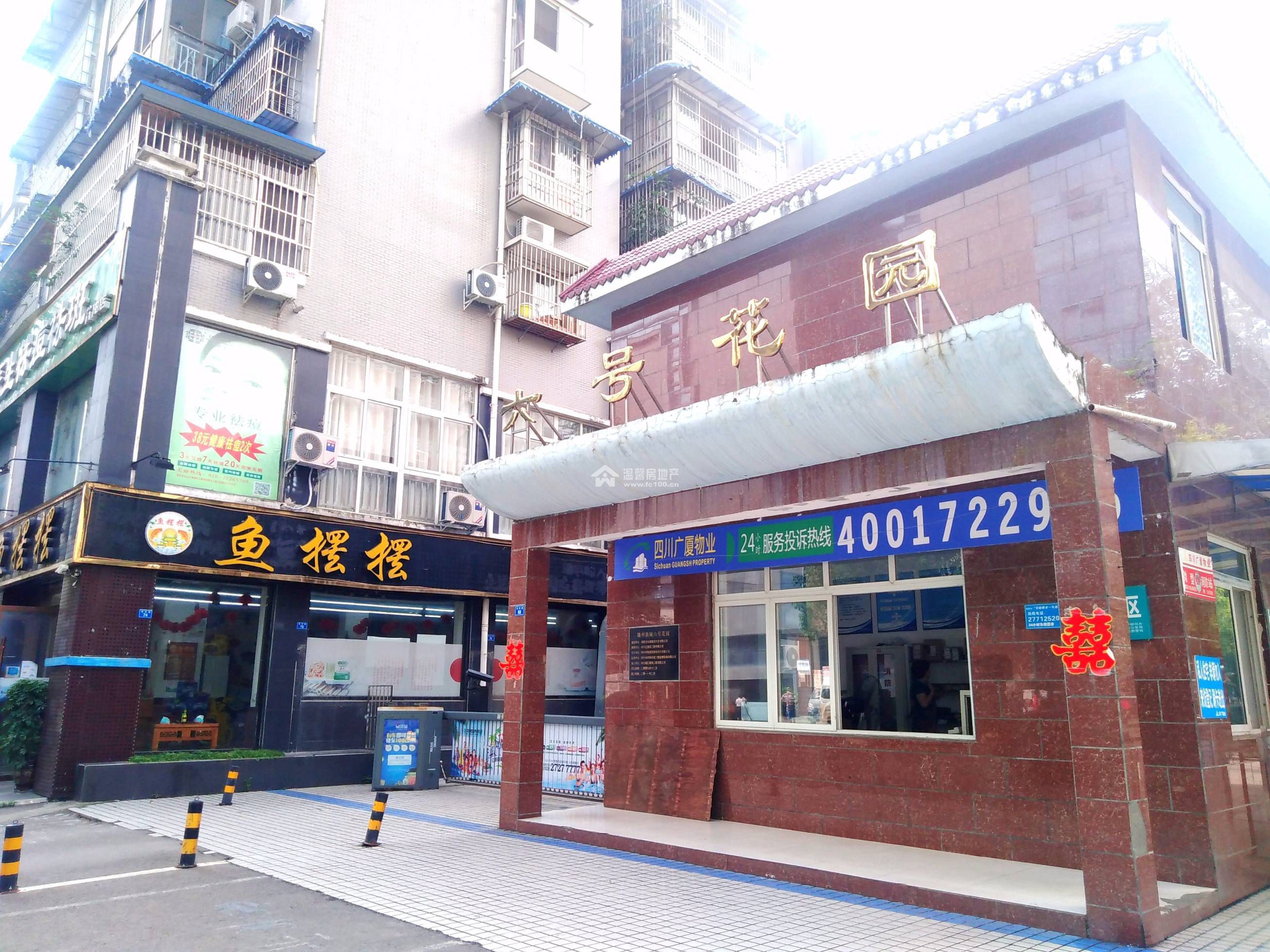 六号花园图片