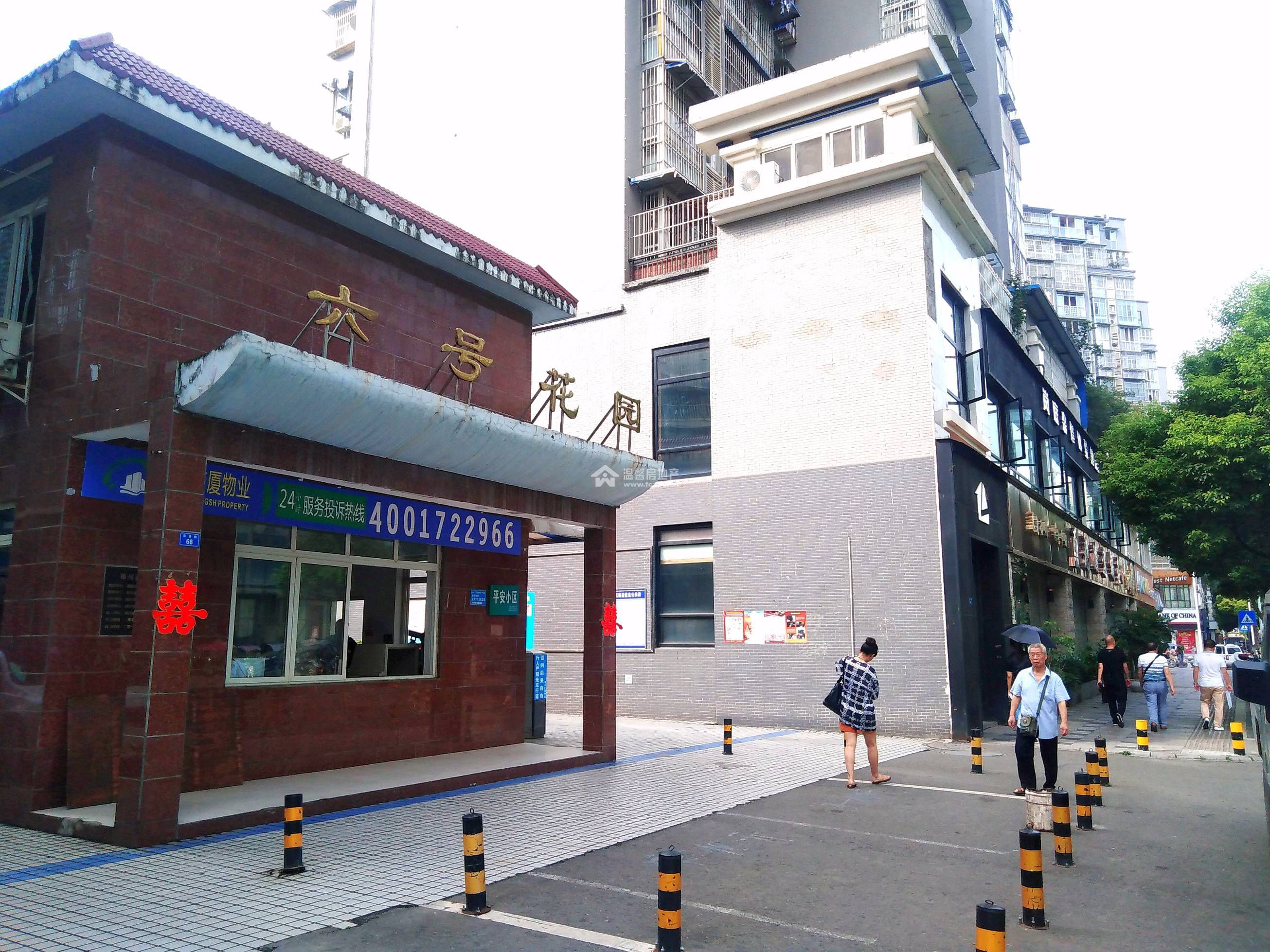六号花园图片