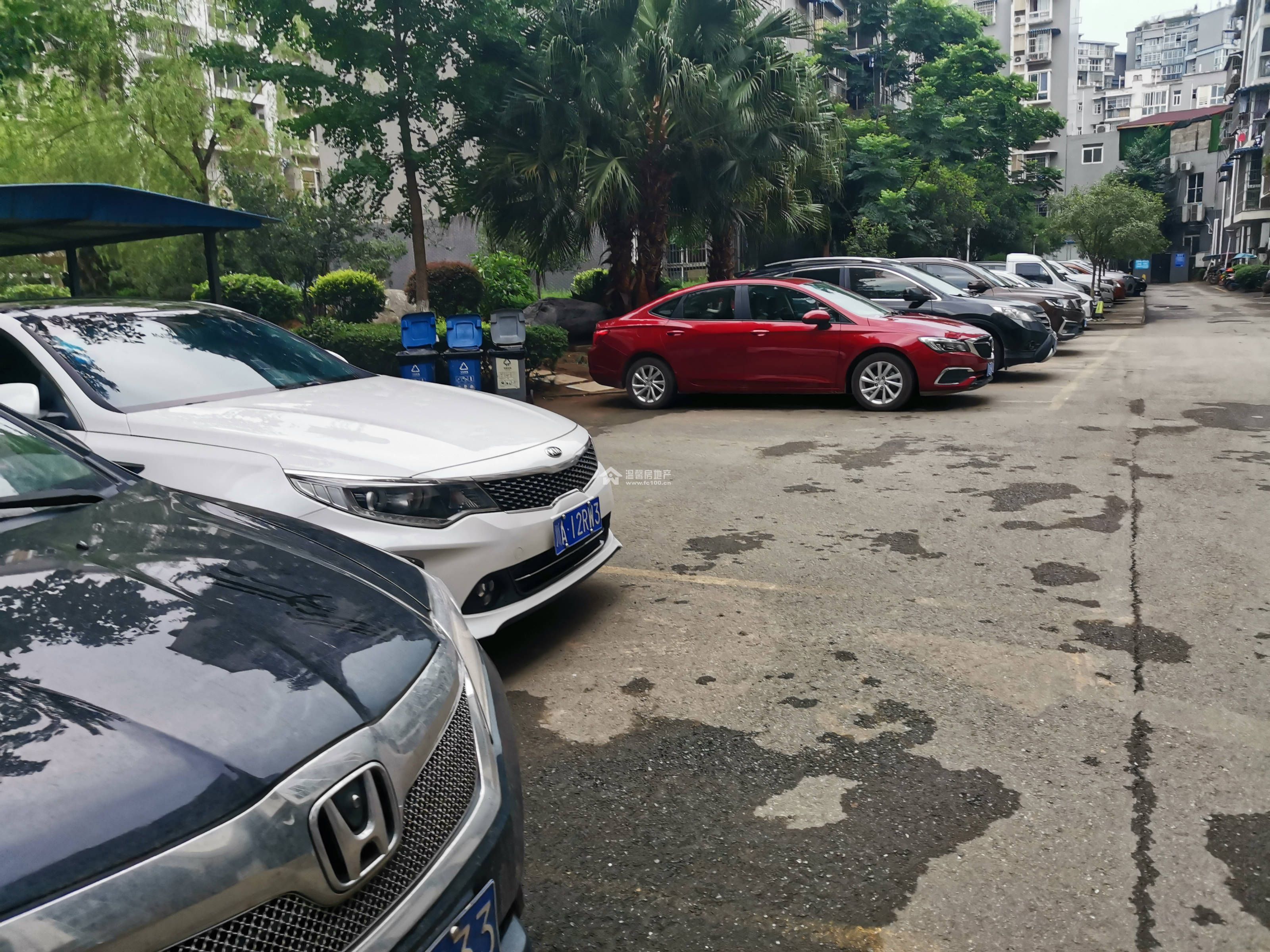 九号花园图片