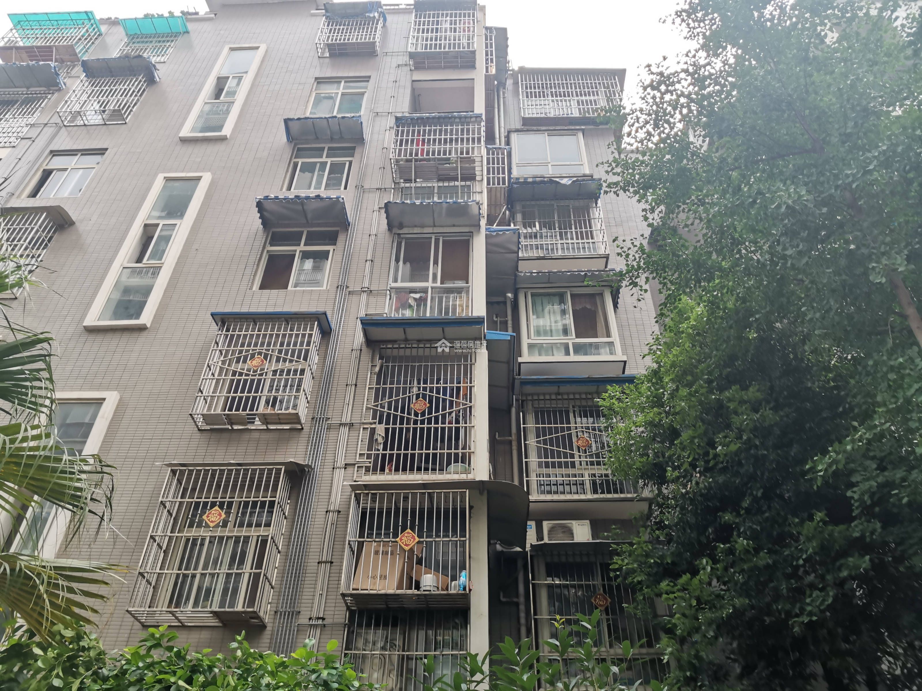 十号花园图片