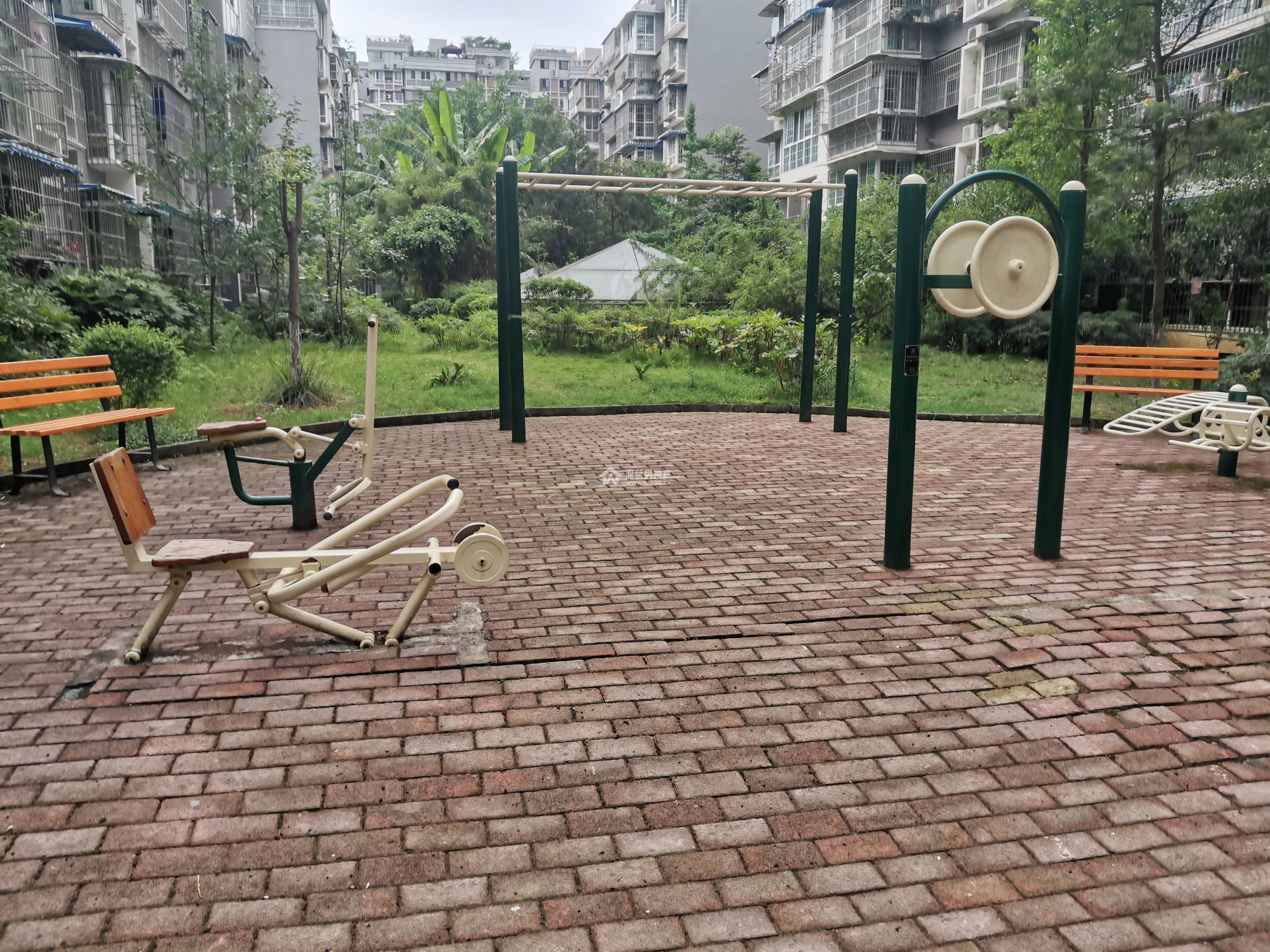 十号花园图片