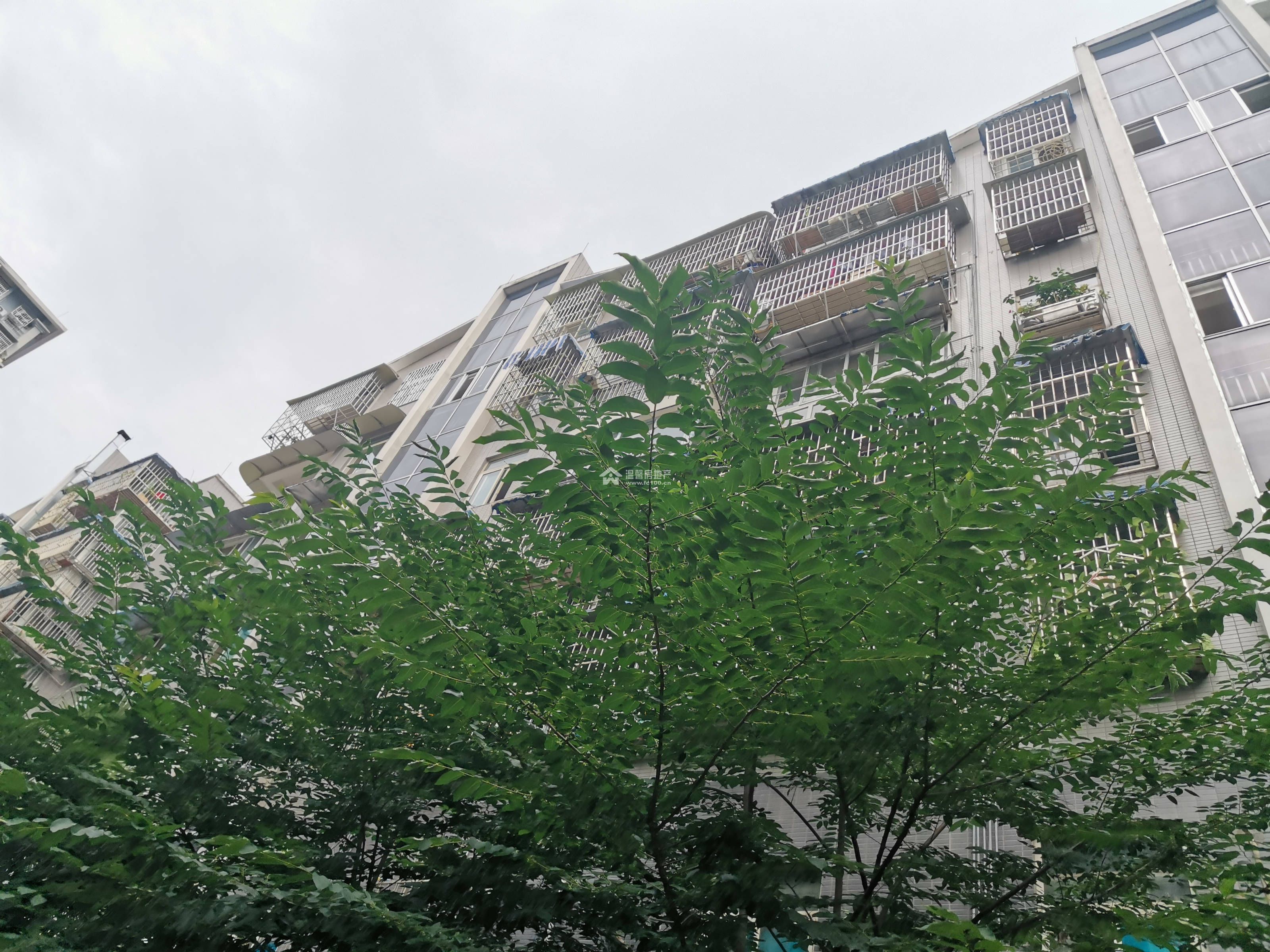 十号花园图片