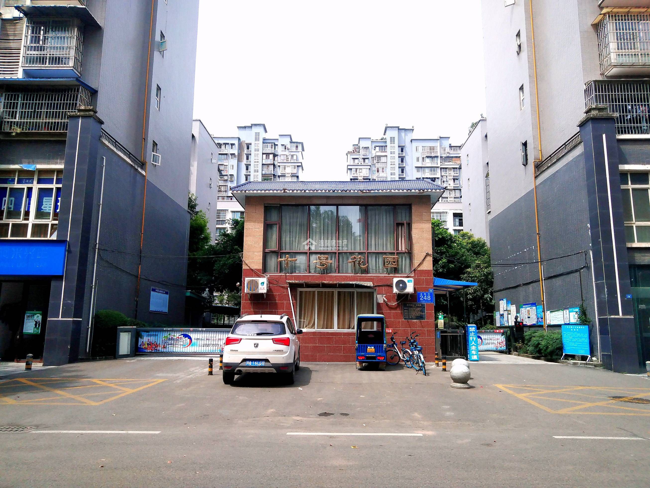 十号花园图片