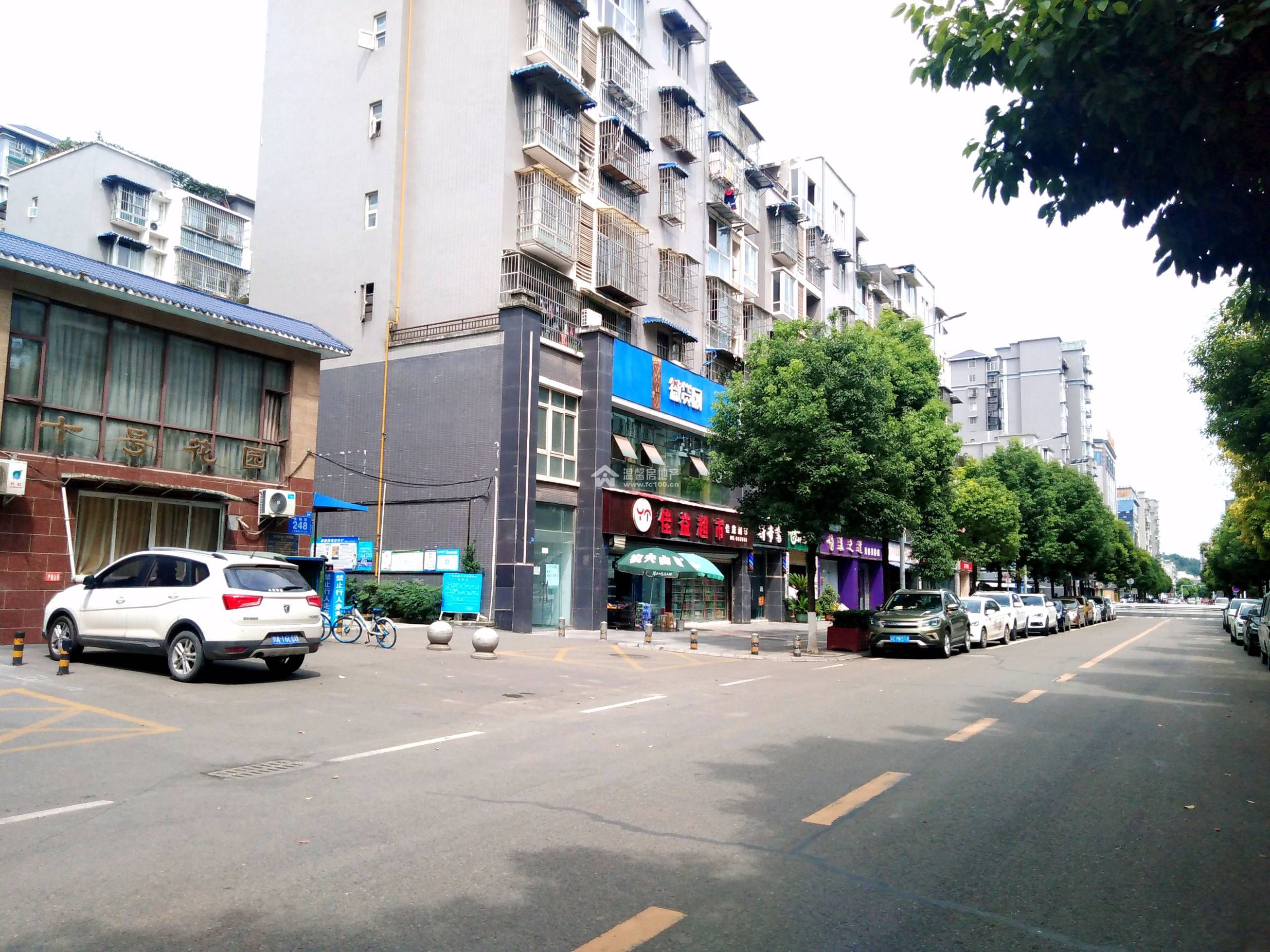 十号花园图片