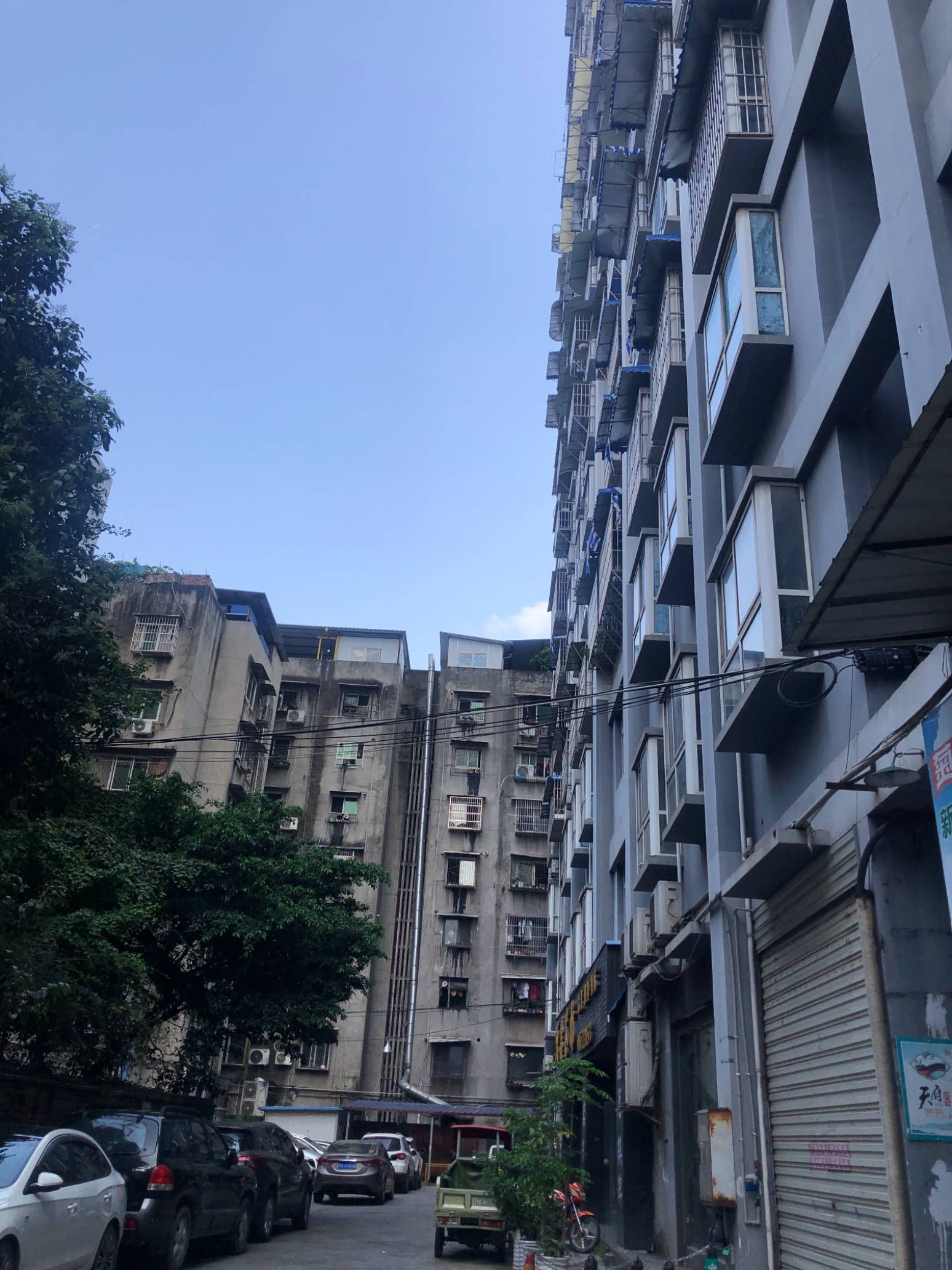 东门丽景图片