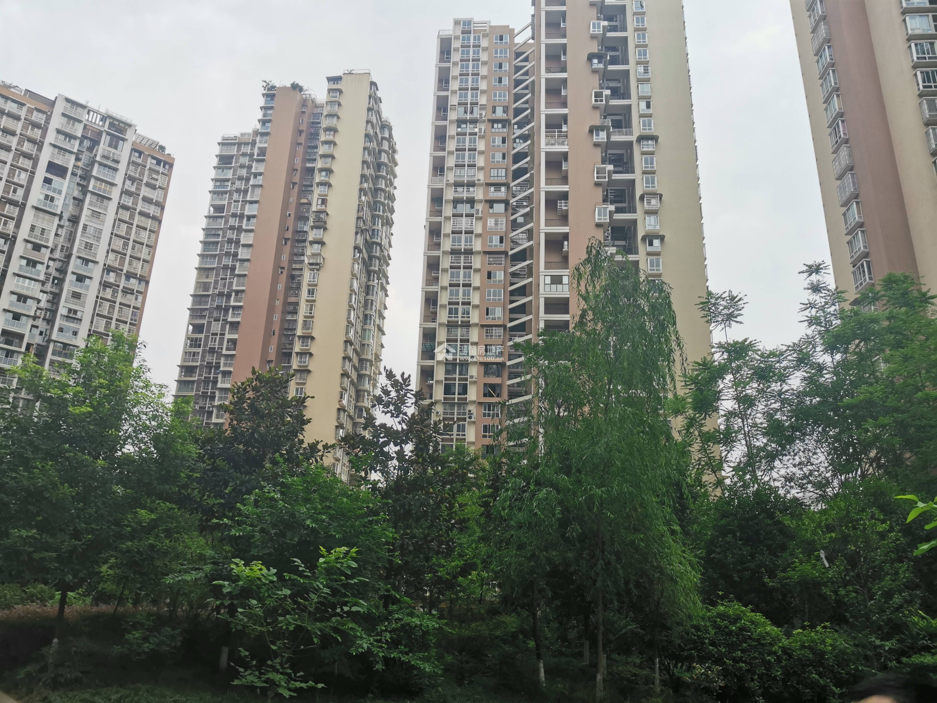 逸水鼎城图片