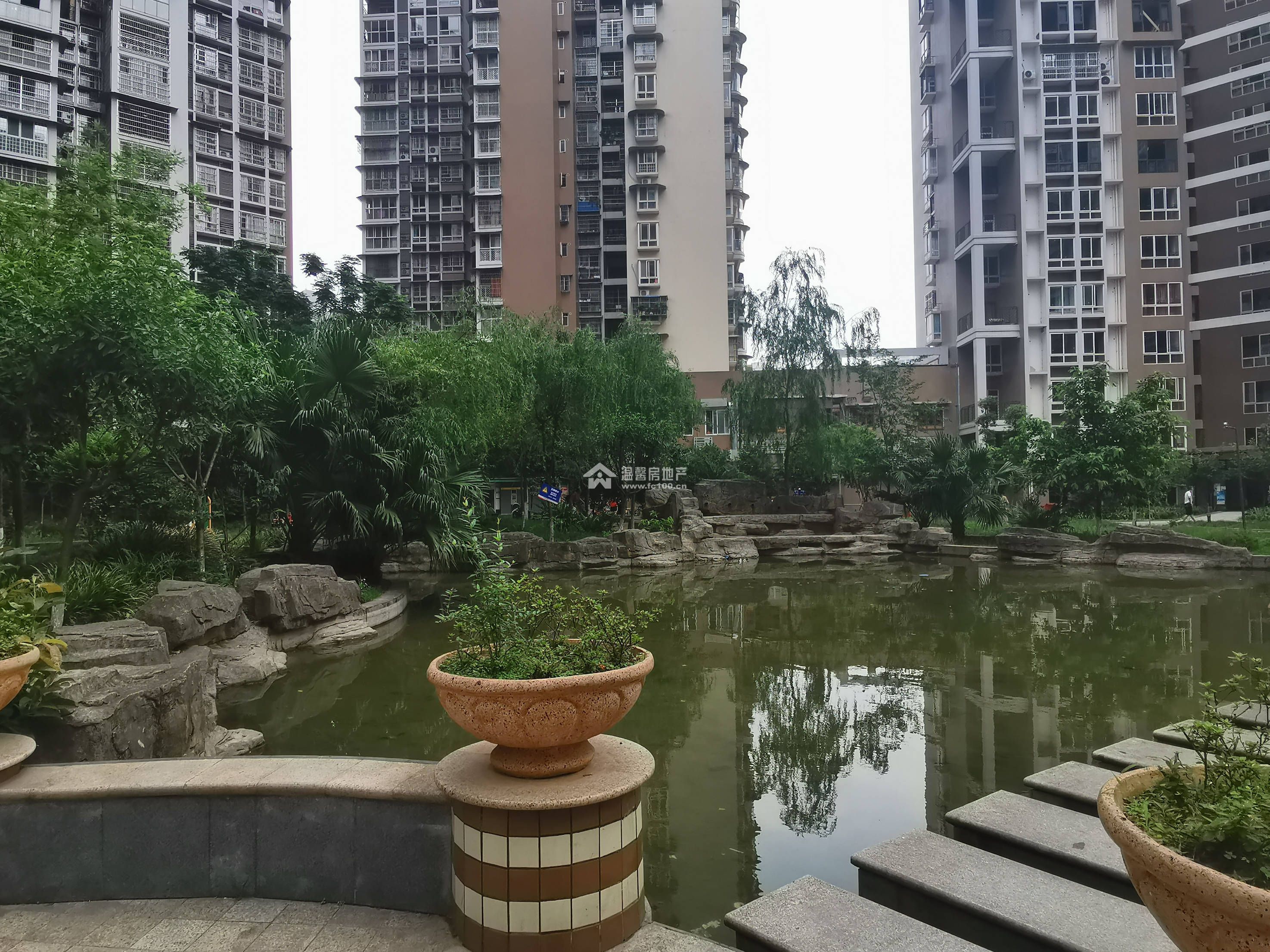 逸水鼎城图片