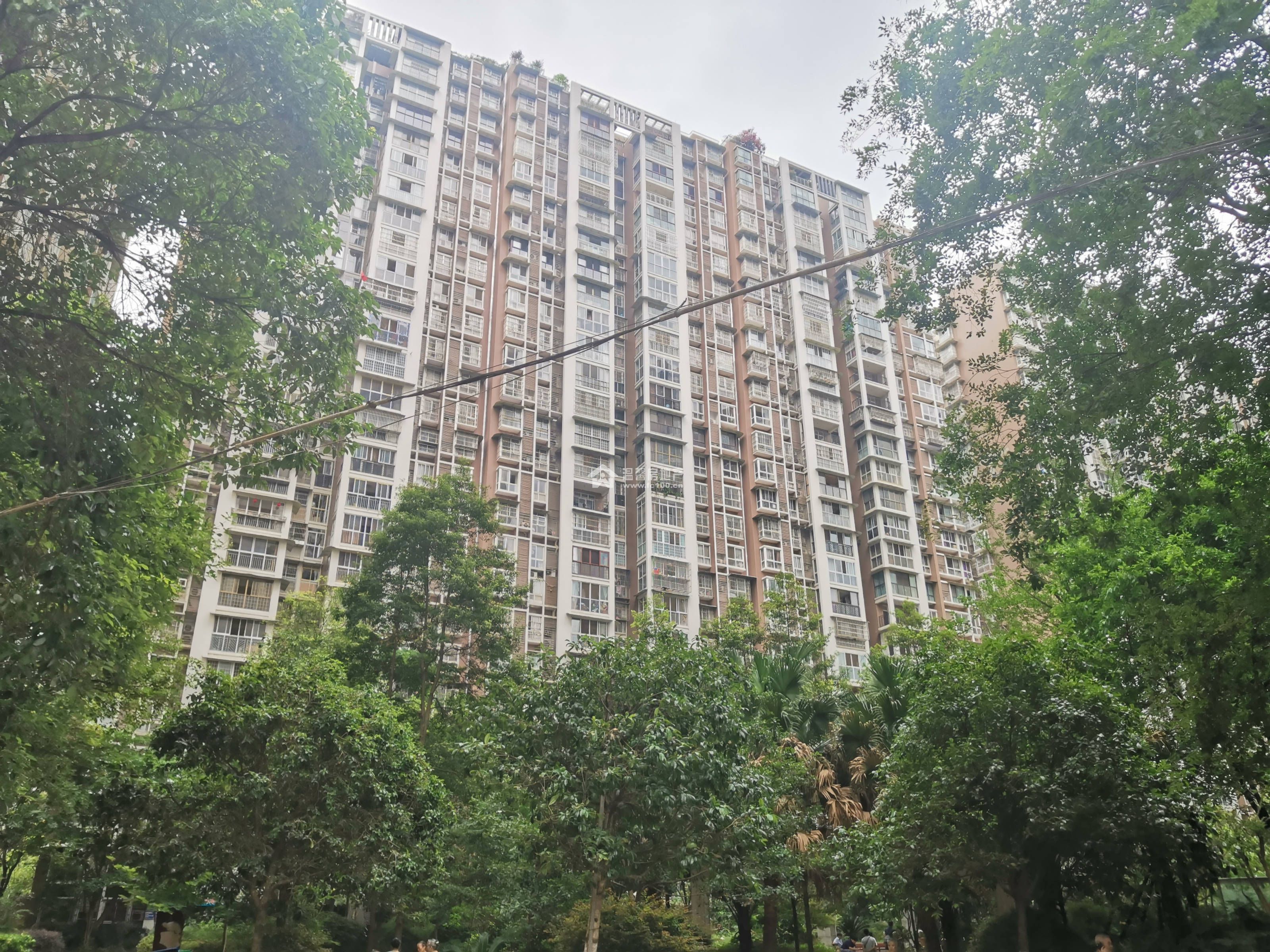 逸水鼎城图片