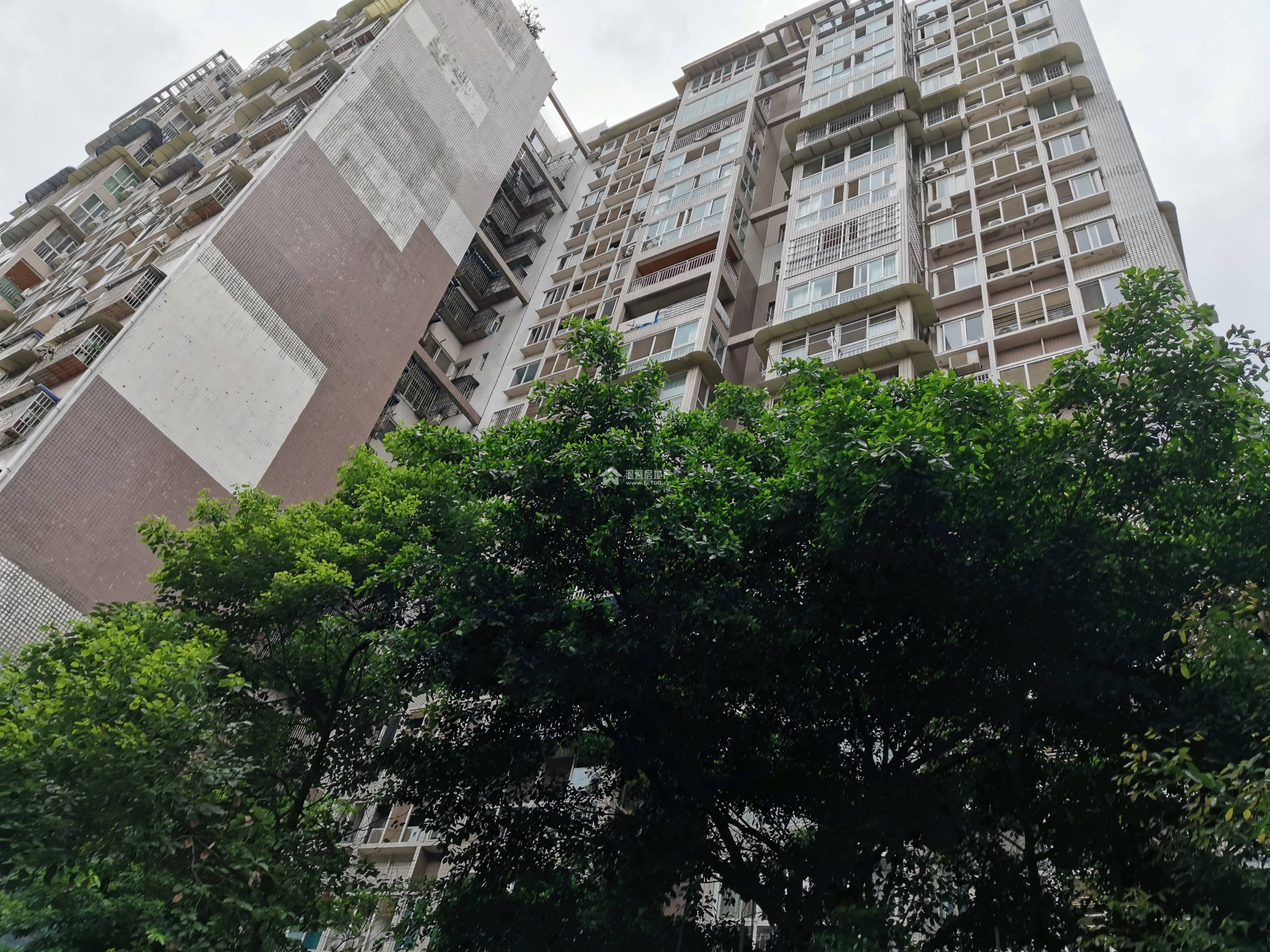 罄和家园图片