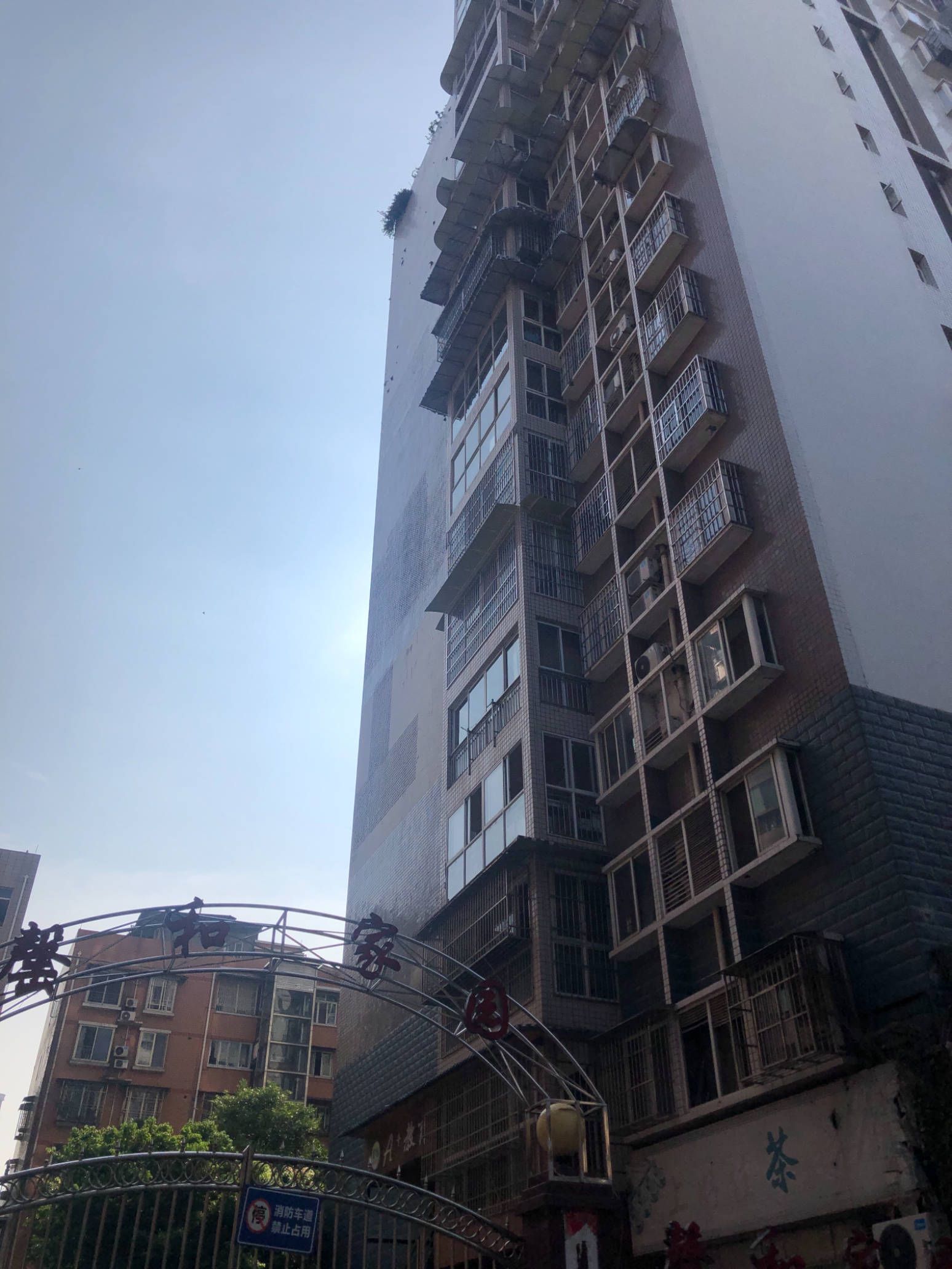 罄和家园图片