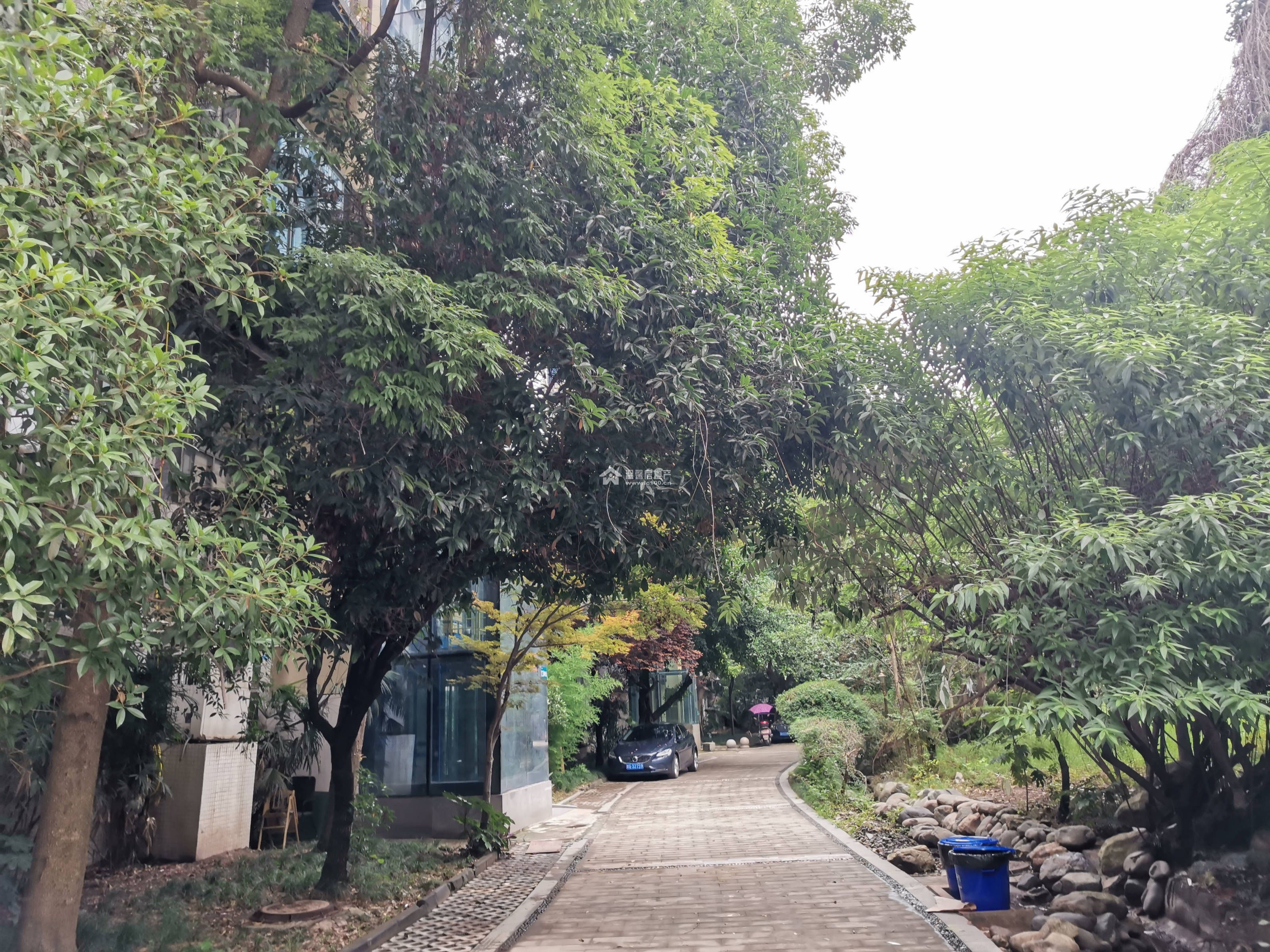 河韵馨苑图片