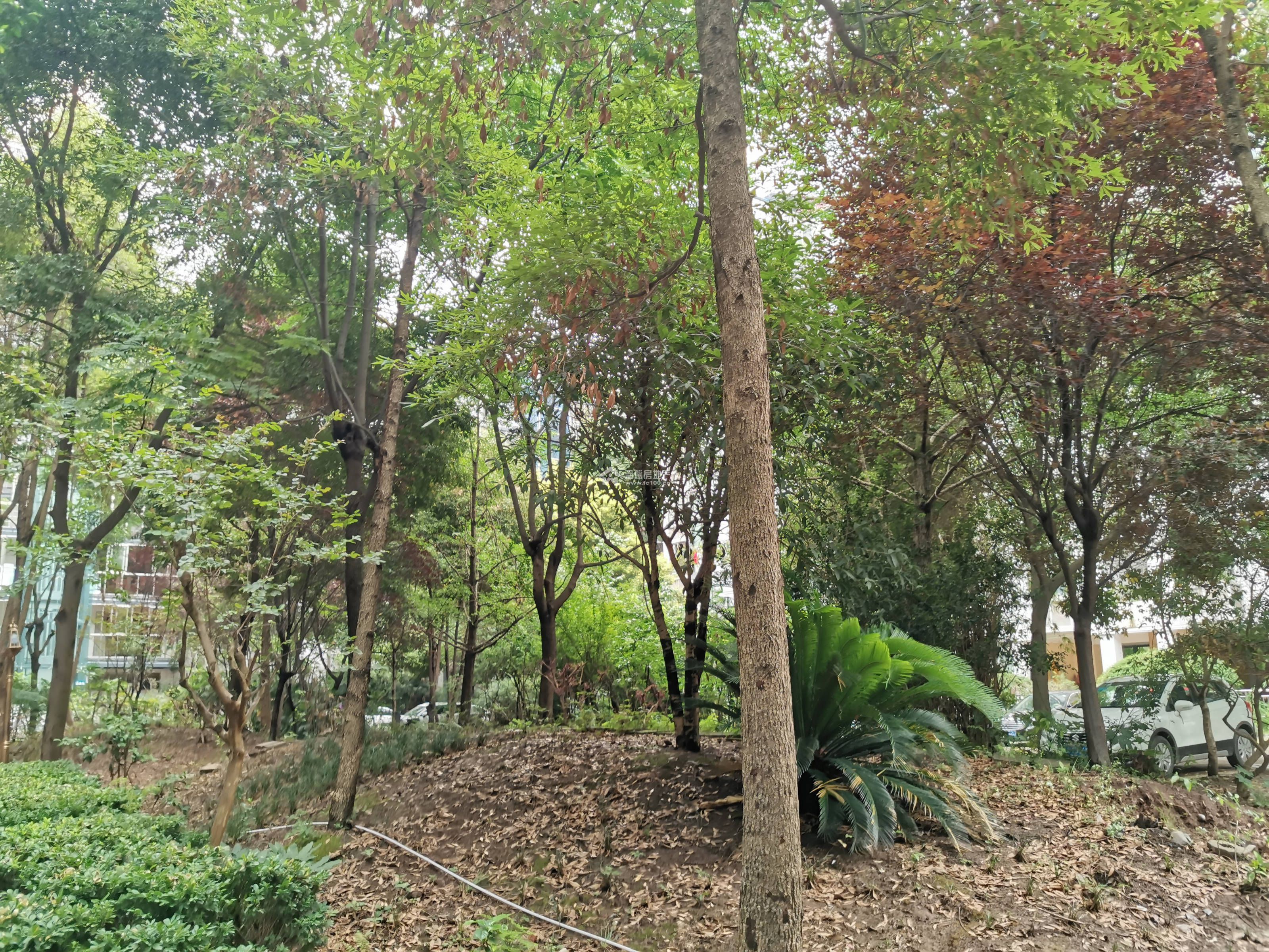 河韵馨苑图片