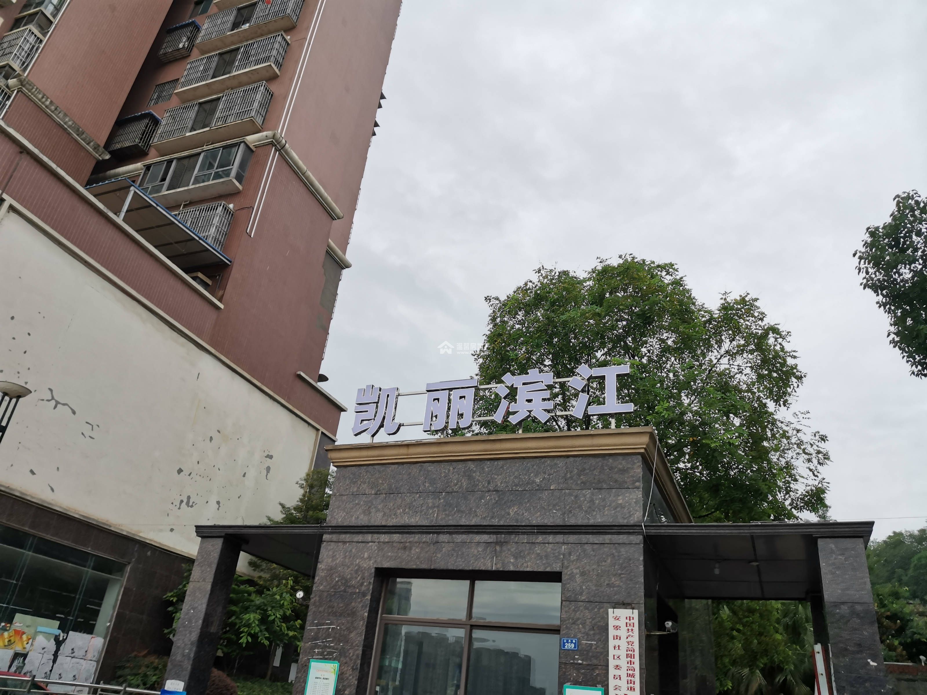 凯丽滨江图片