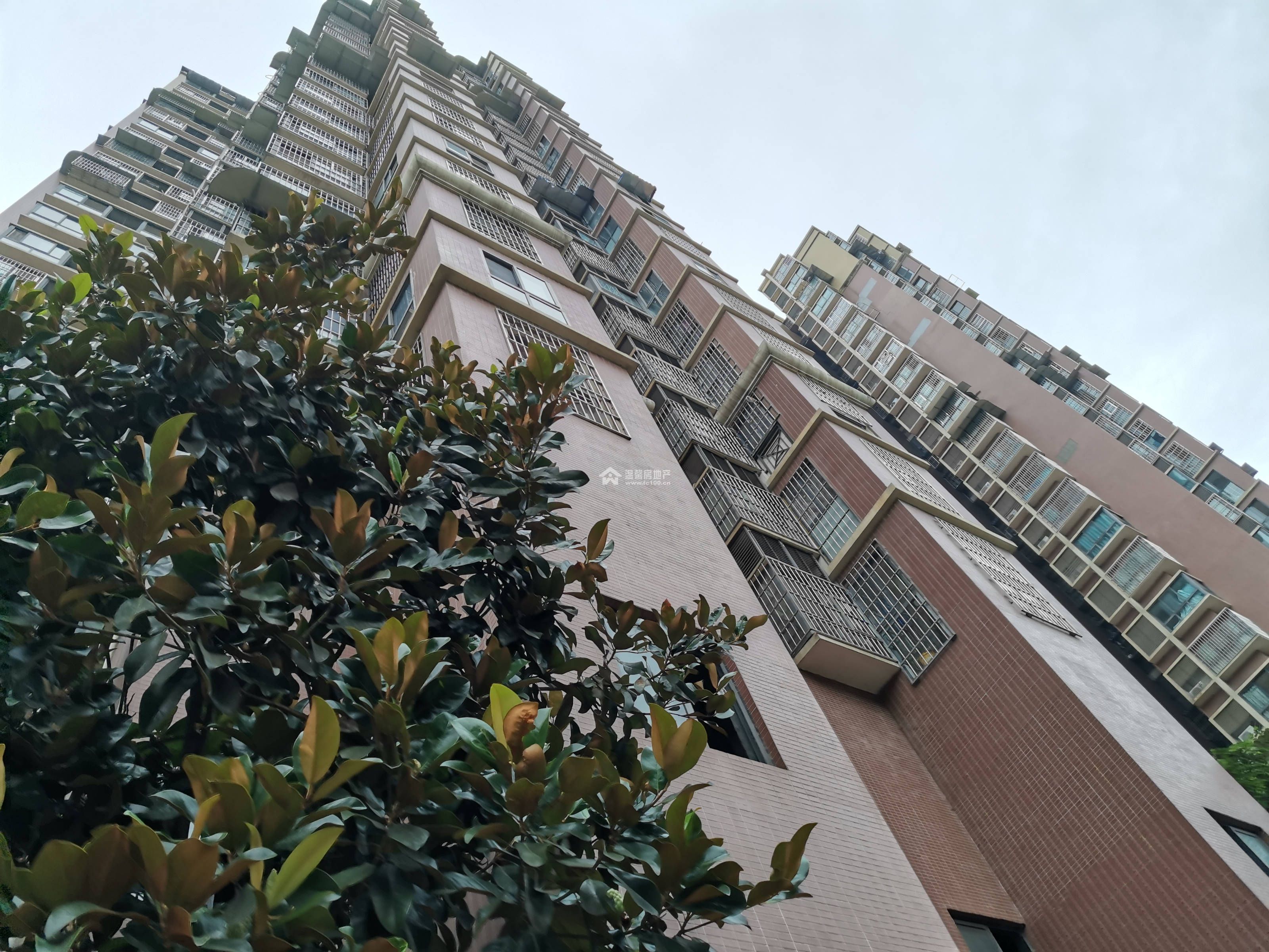 凯丽滨江图片