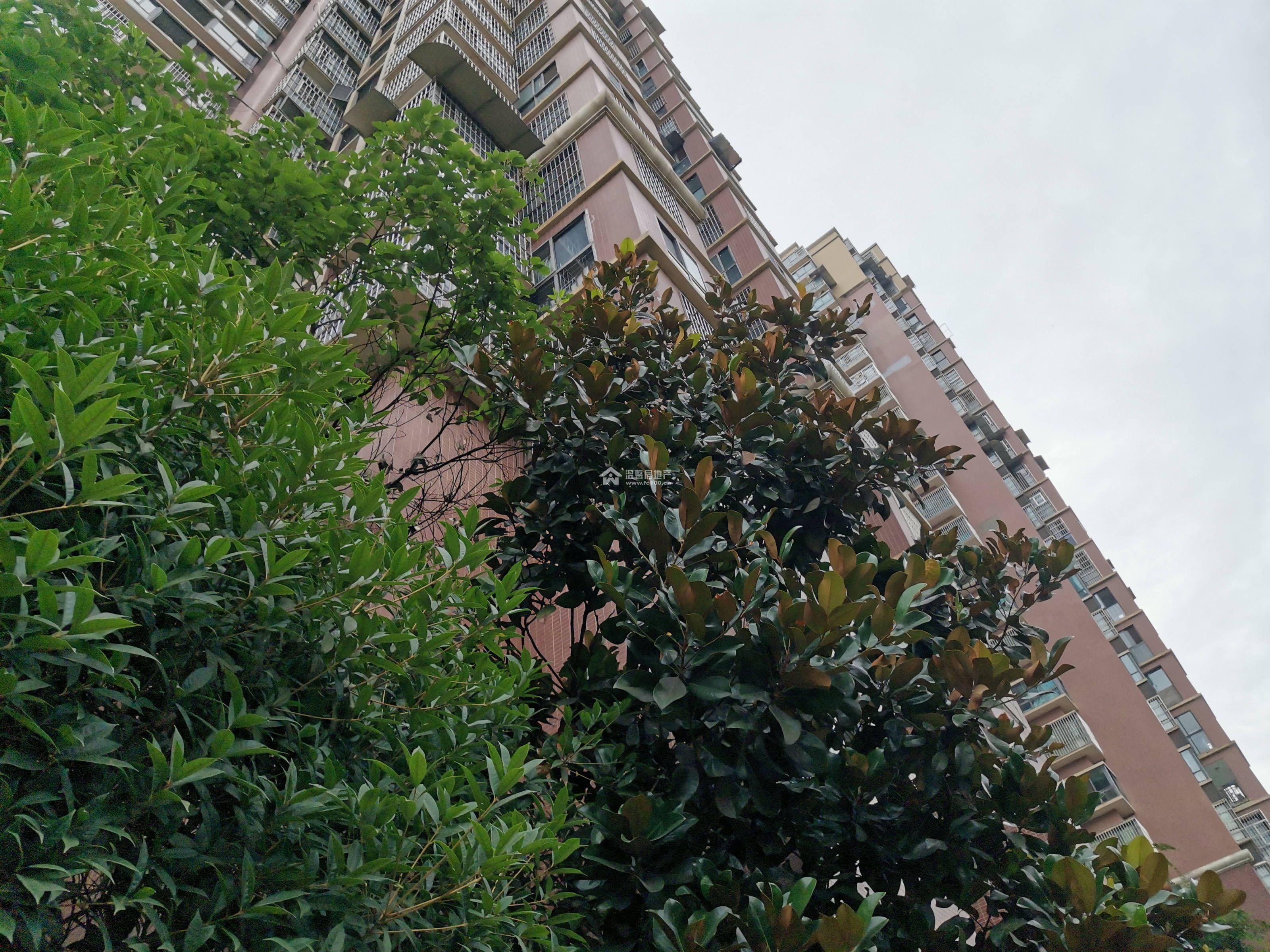 凯丽滨江图片