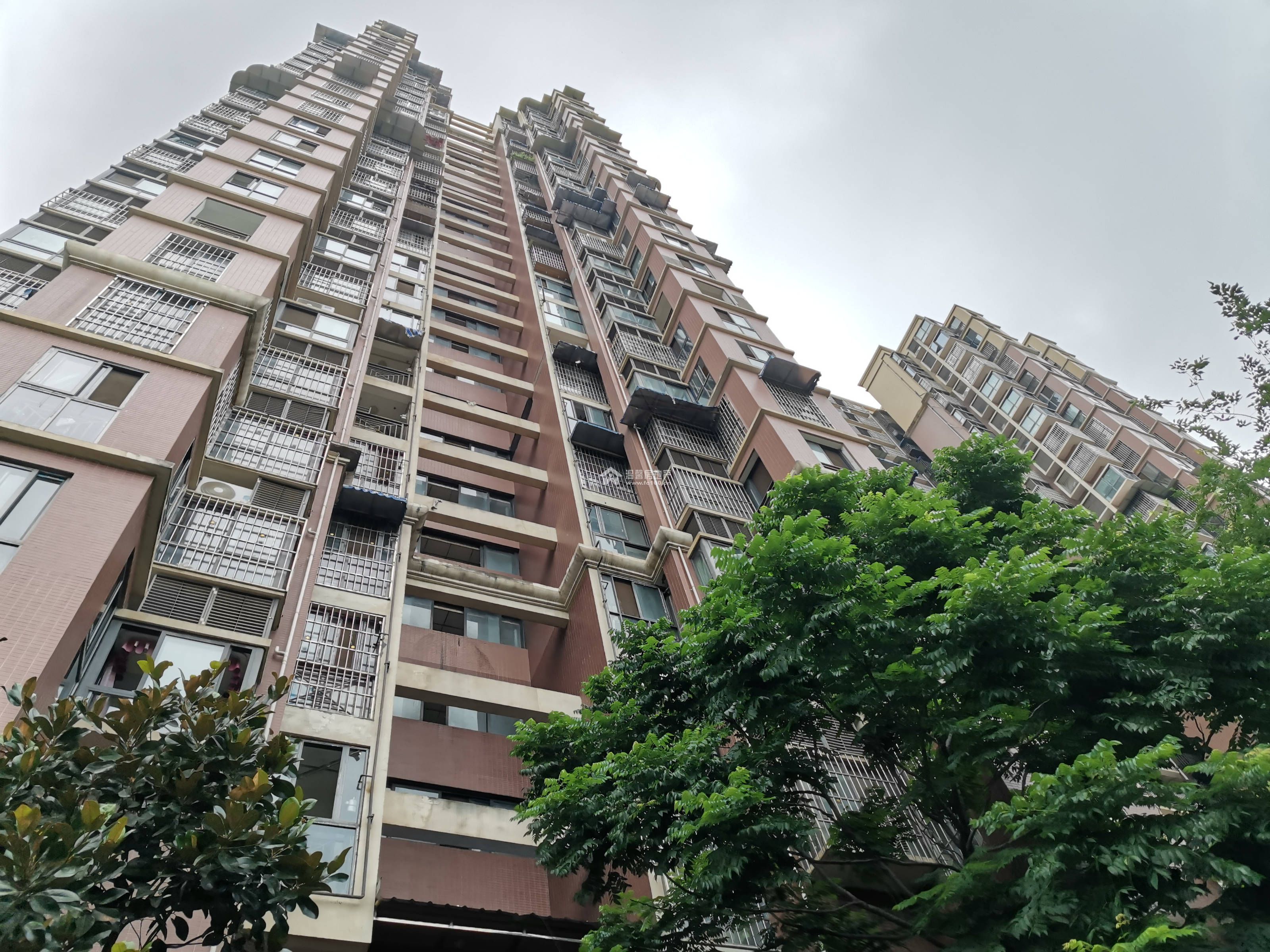 凯丽滨江图片