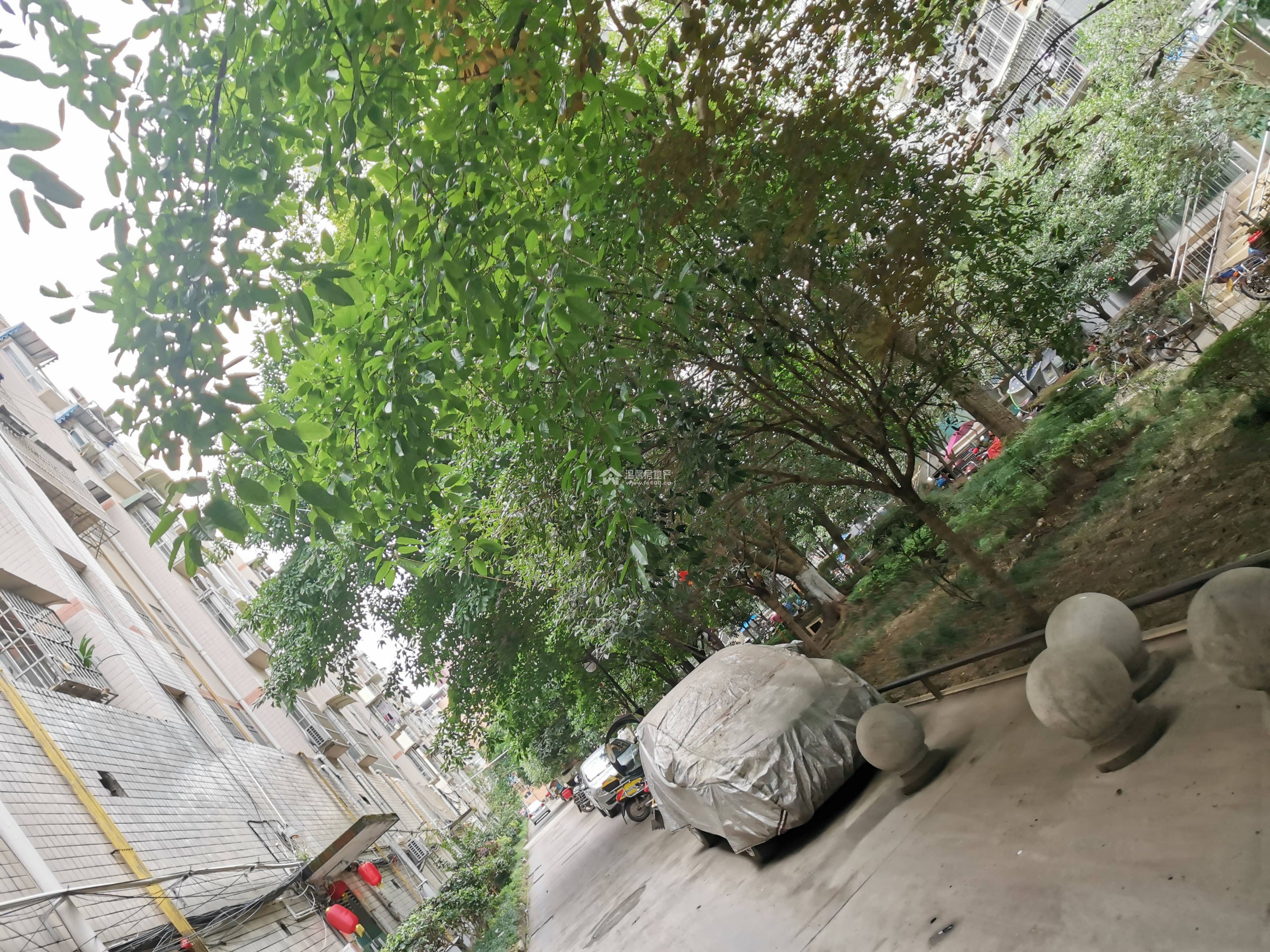 阳晨D区图片