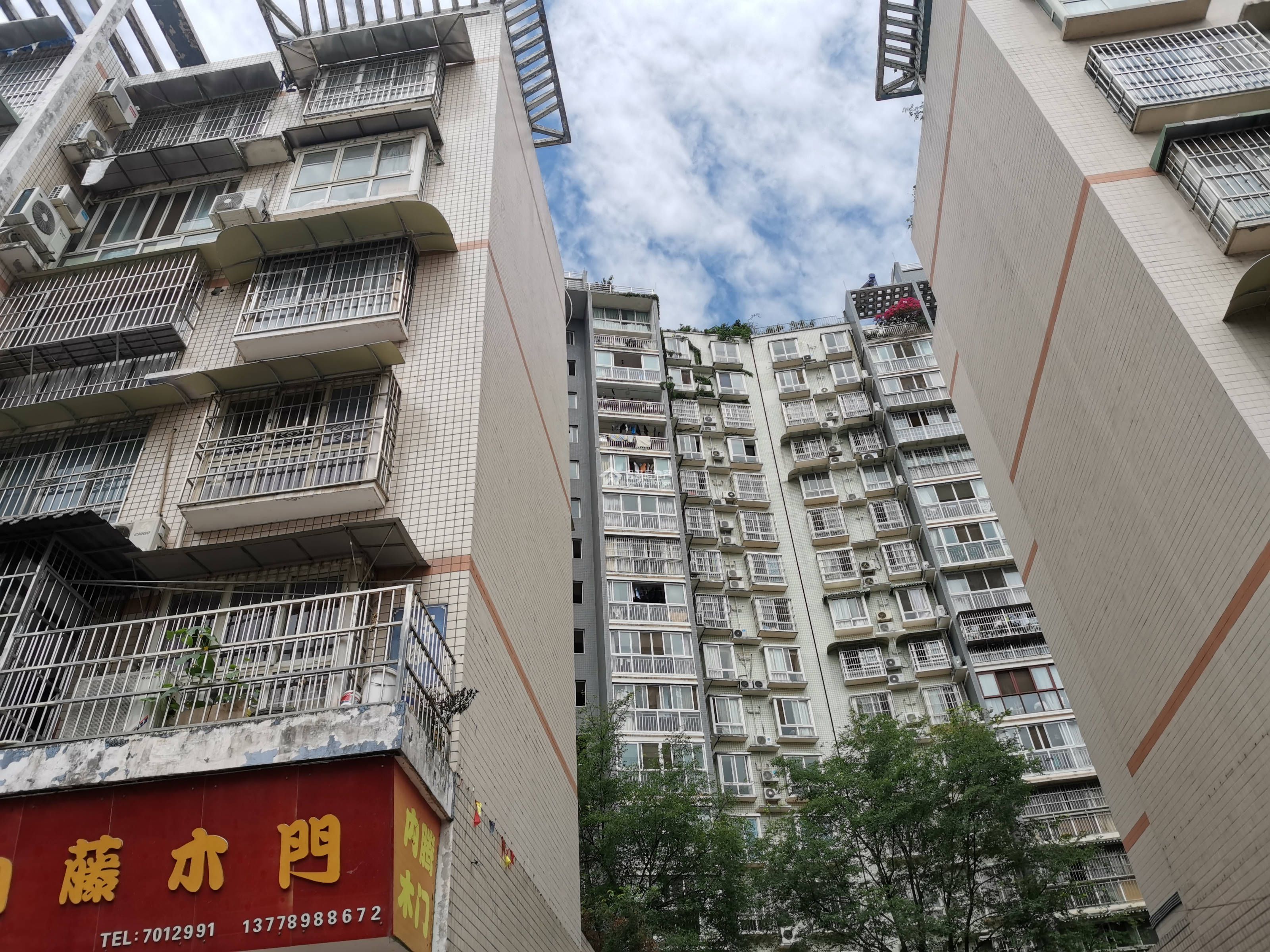 阳晨D区图片