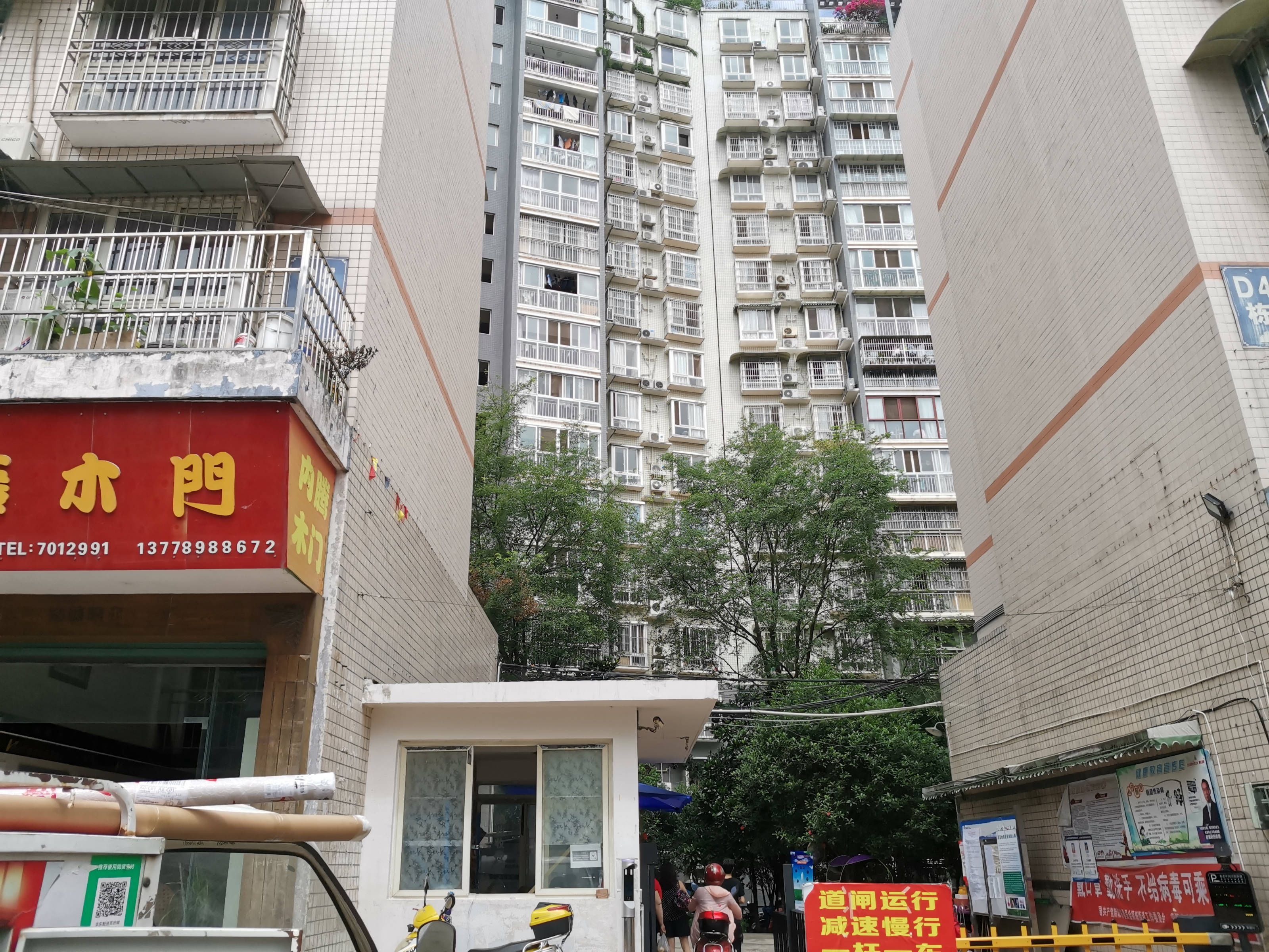 阳晨D区图片