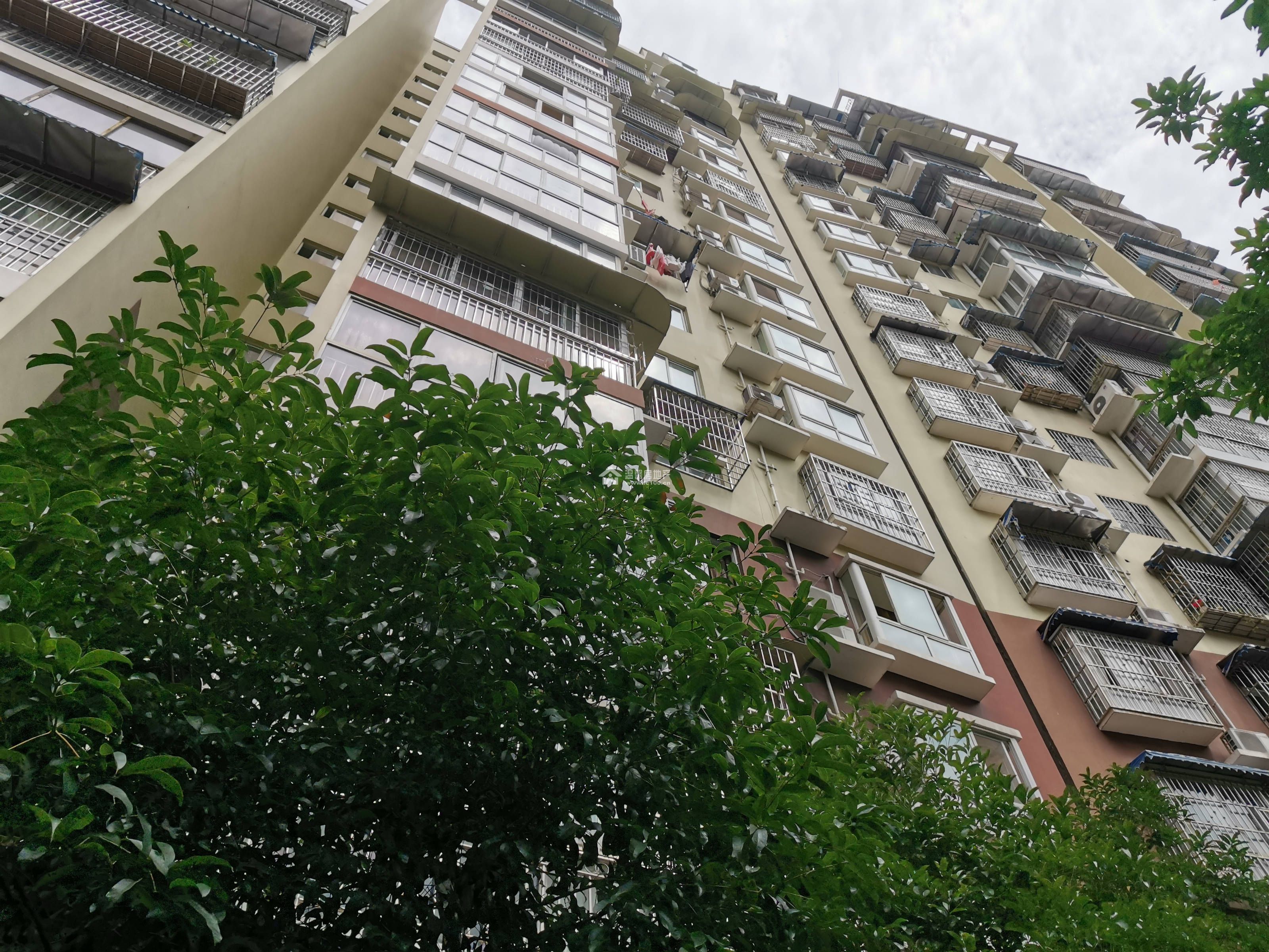 阳晨D区图片