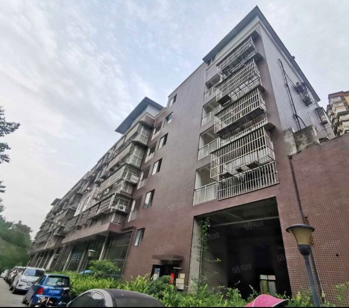 学府阳光图片