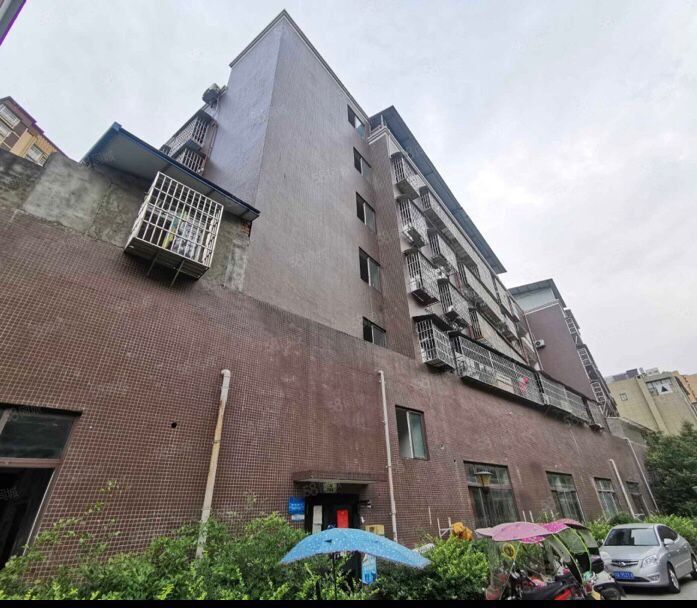 学府阳光图片