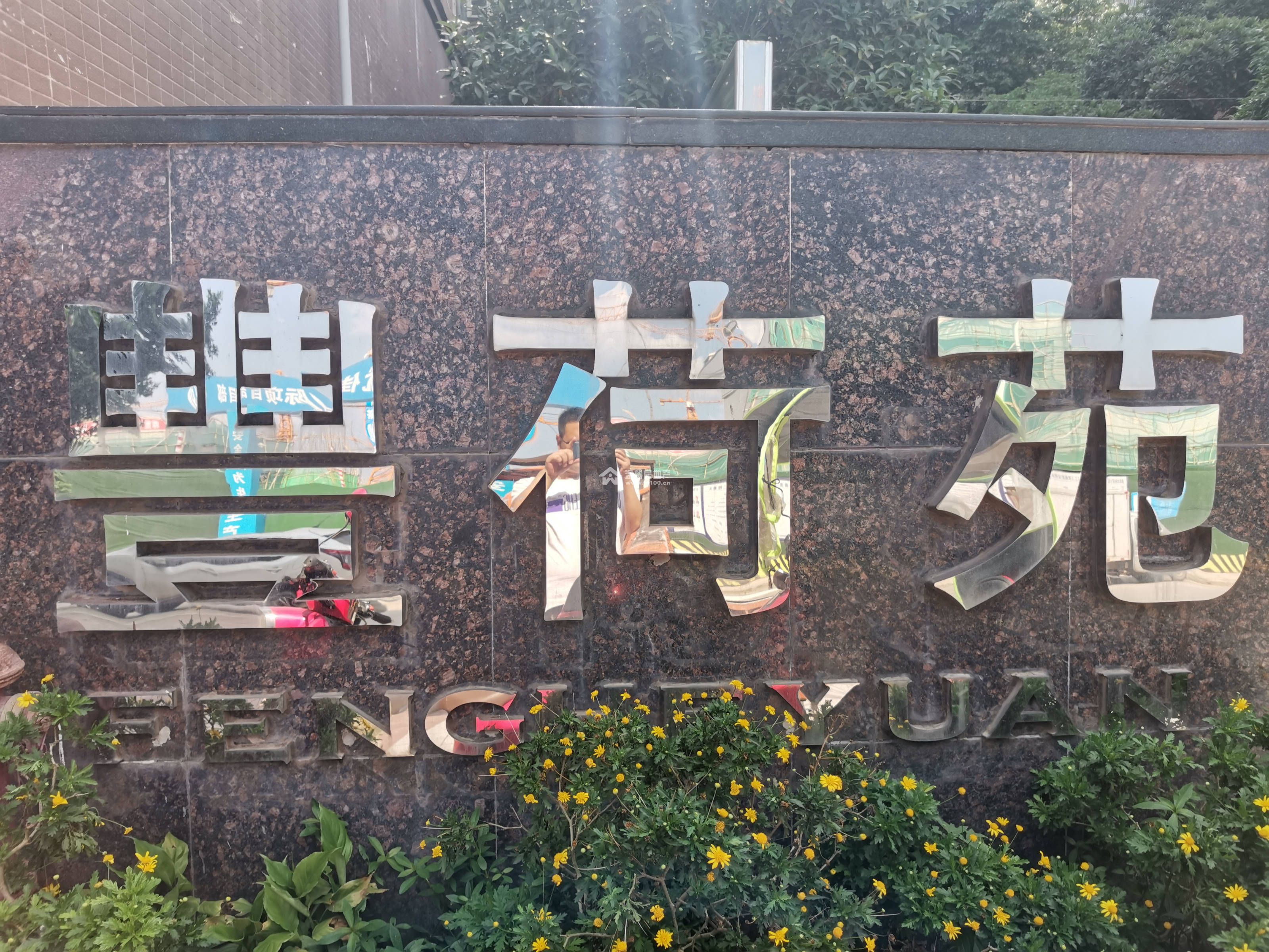 丰荷苑图片