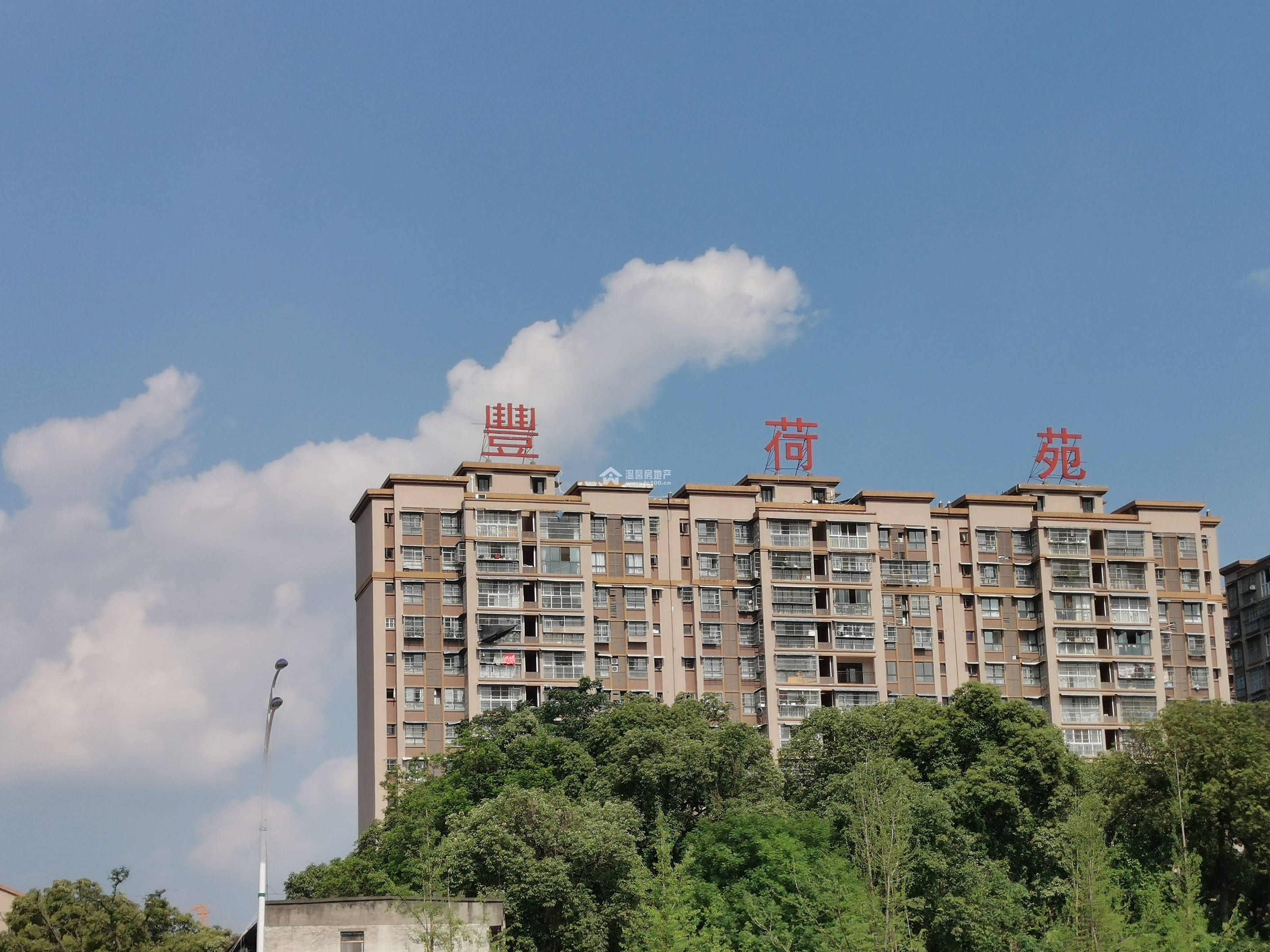 丰荷苑图片
