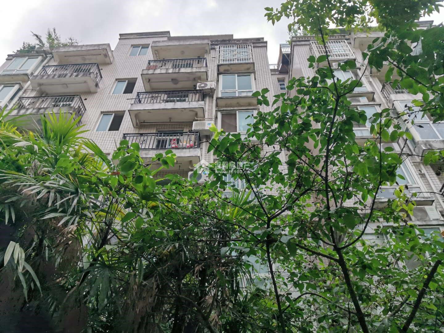 河景馨城A区图片