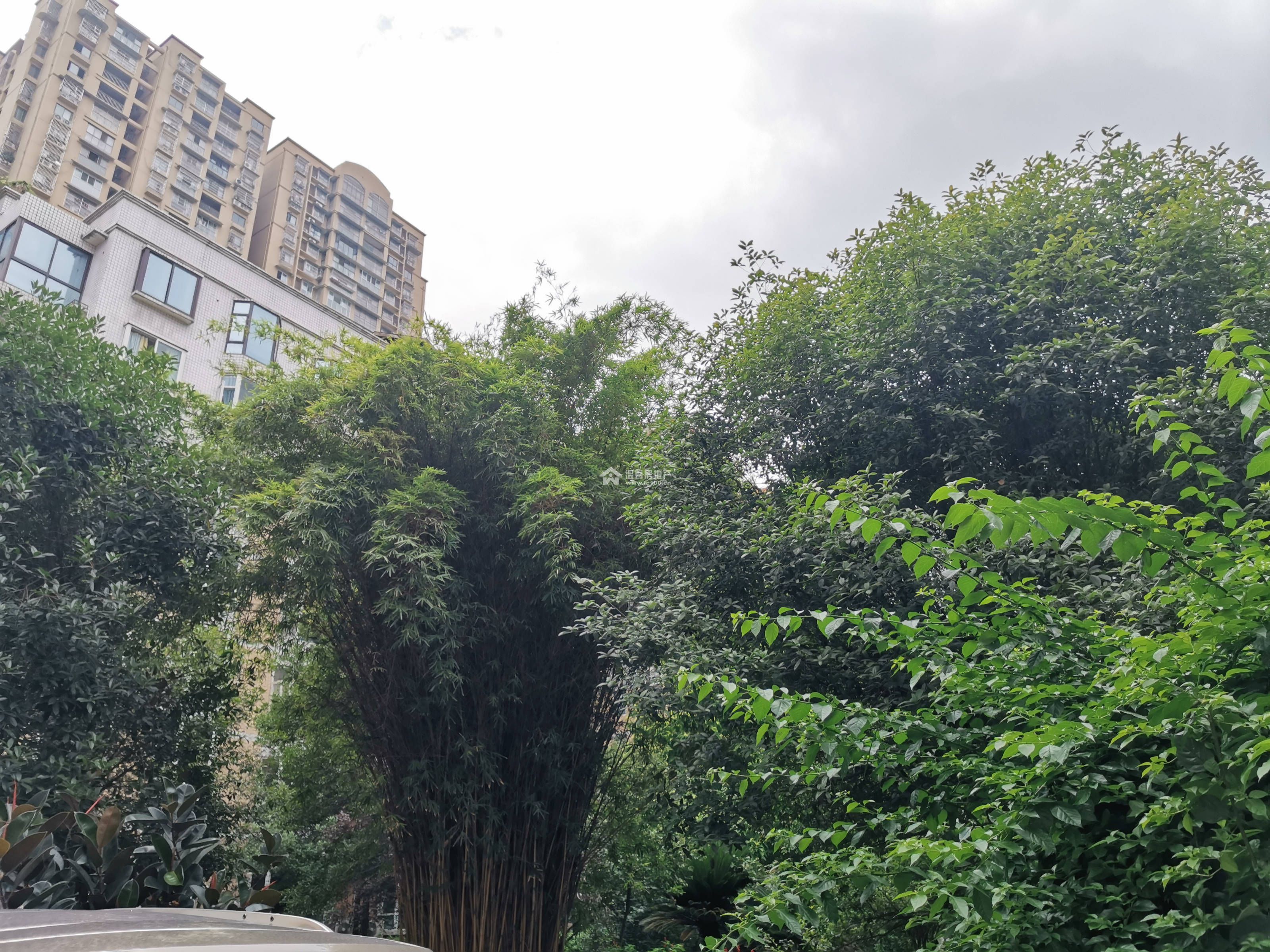 港通花园图片