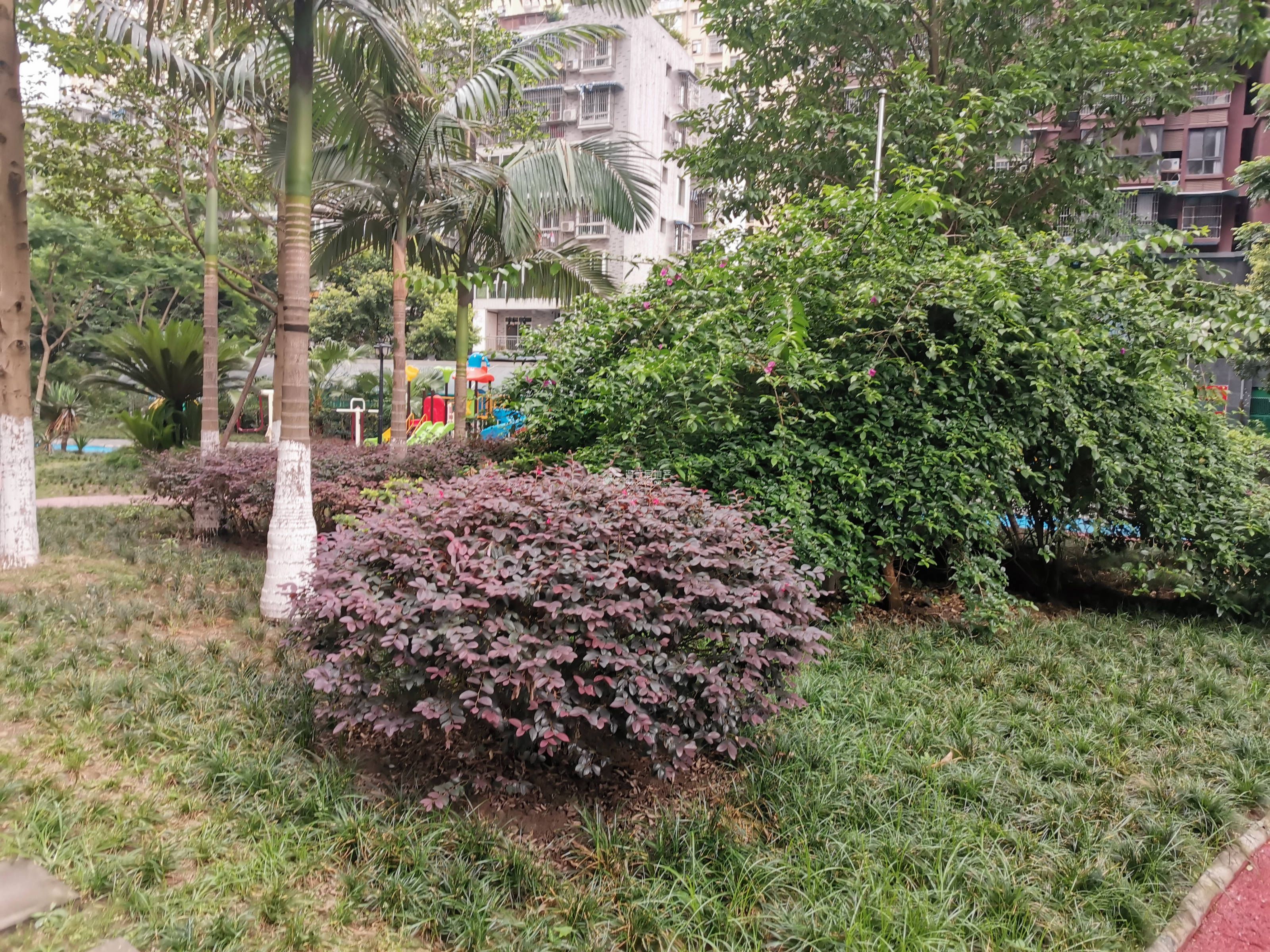 河韵南苑图片