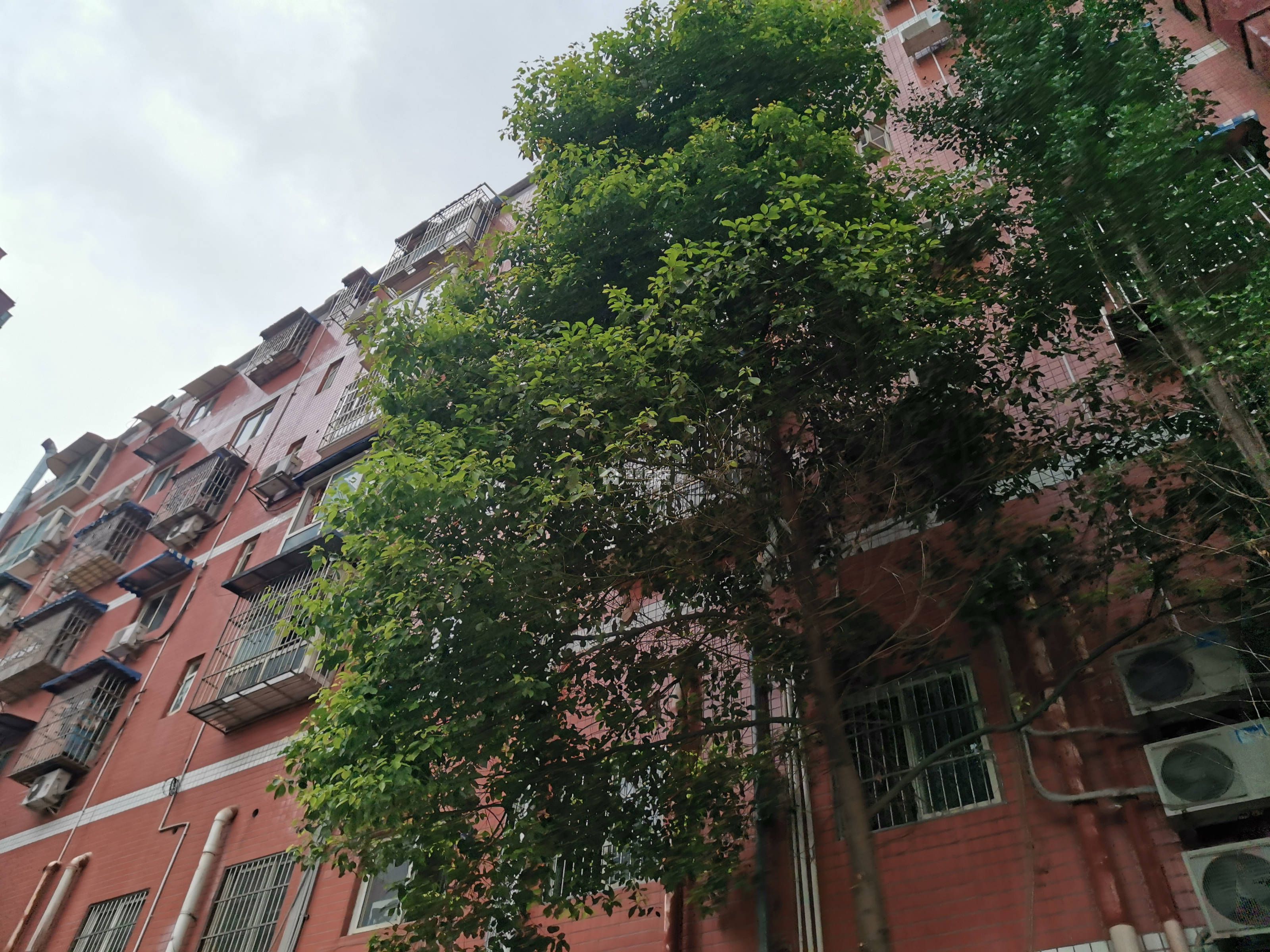 锦江家园图片