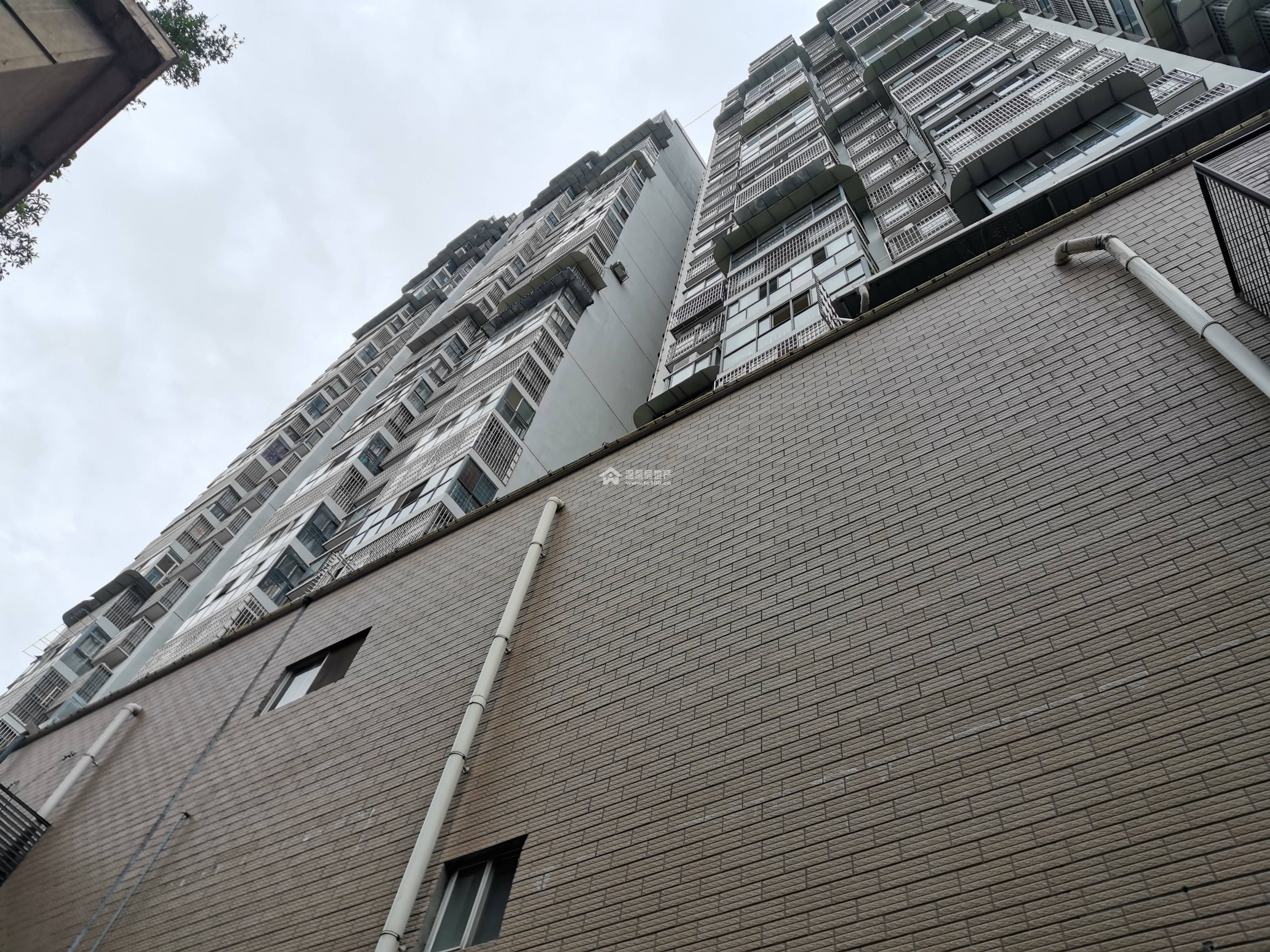 沱江家园图片