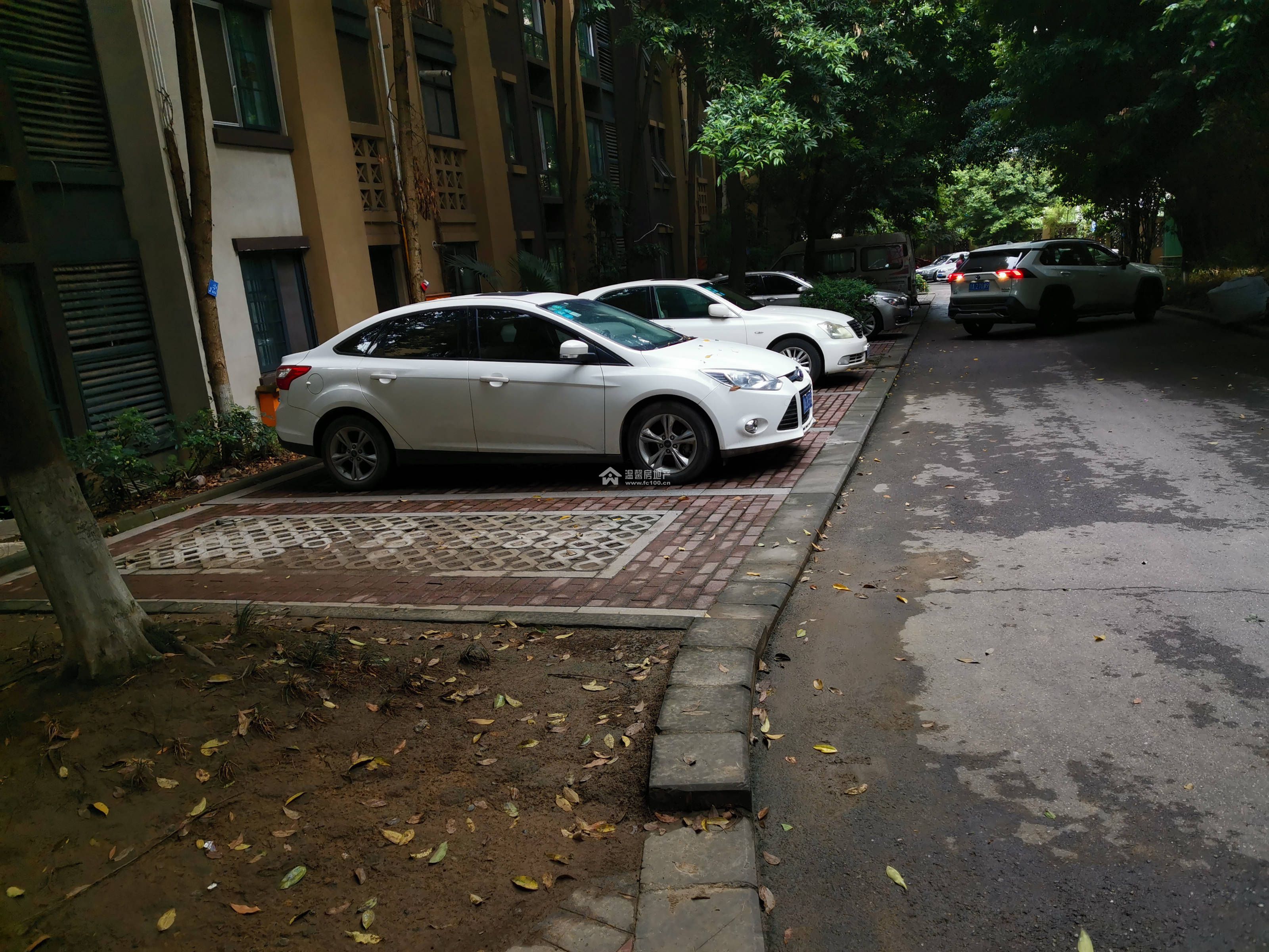 悠山郡图片