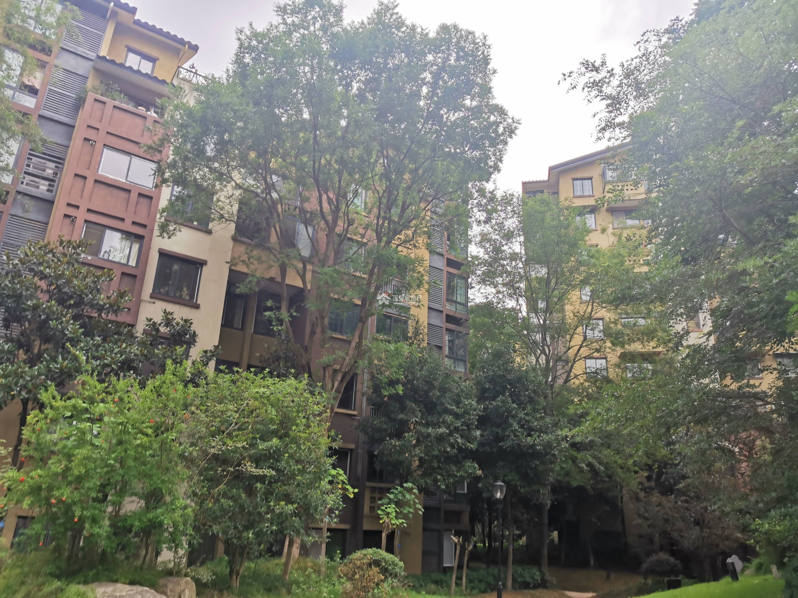 悠山郡图片