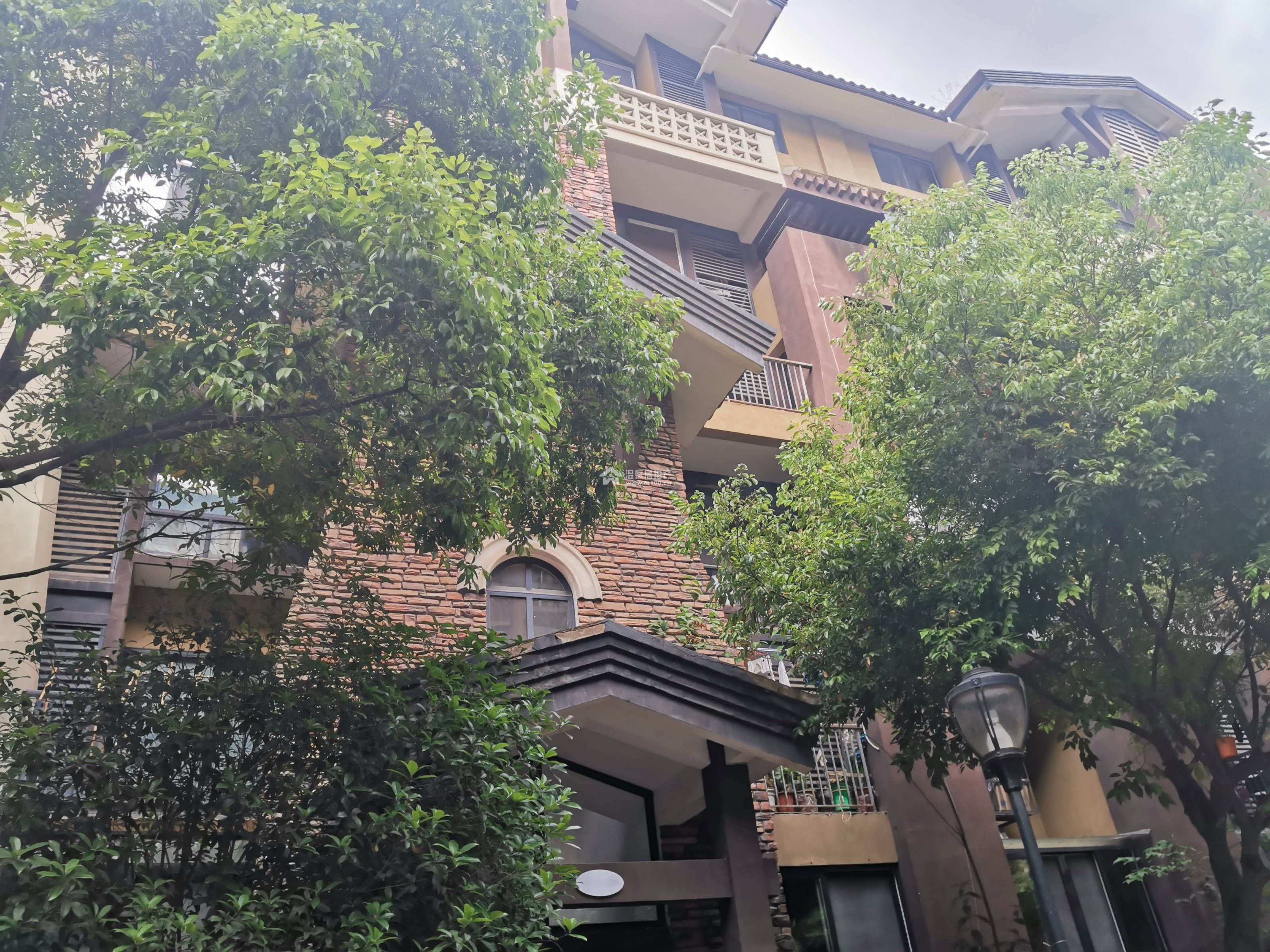 悠山郡图片